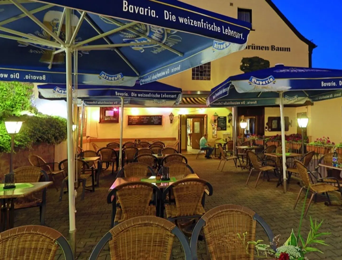 Restaurant Grüner Baum Bar