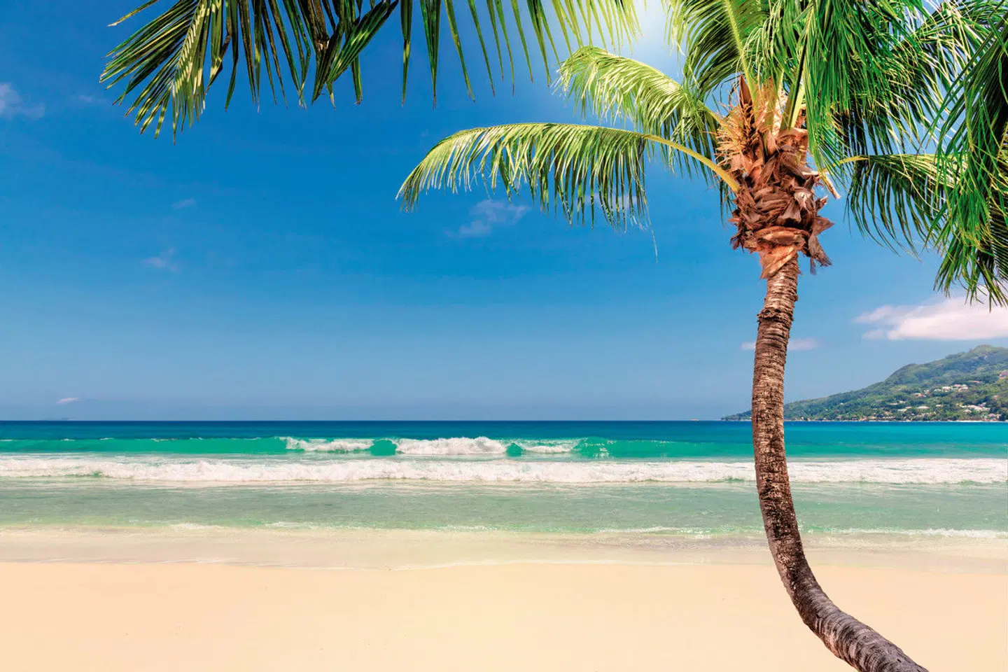 Reggae, Rum und Me(h)er Strand