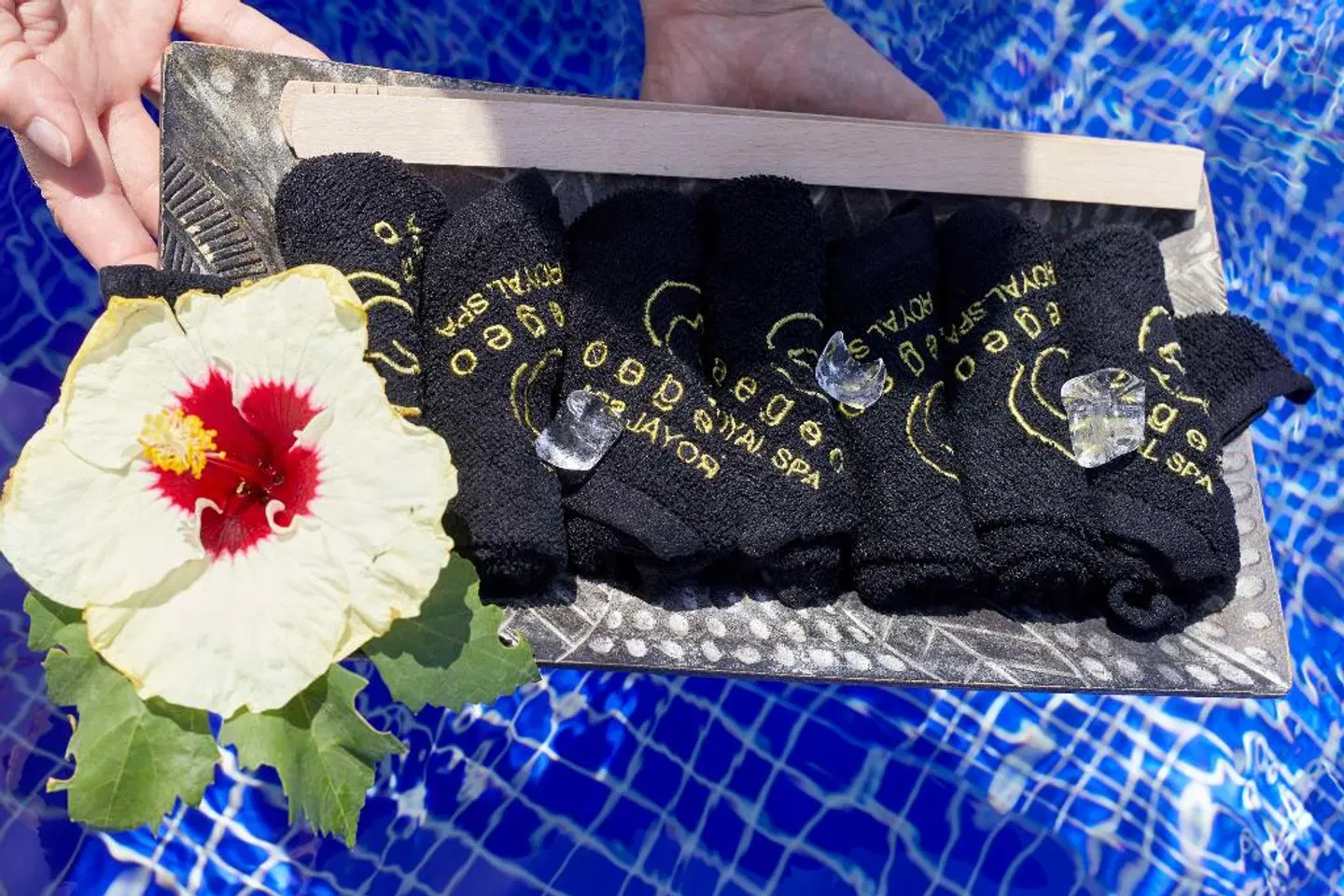 Sea Breeze Beach Resort, Curio Collection by Hilton Tiere