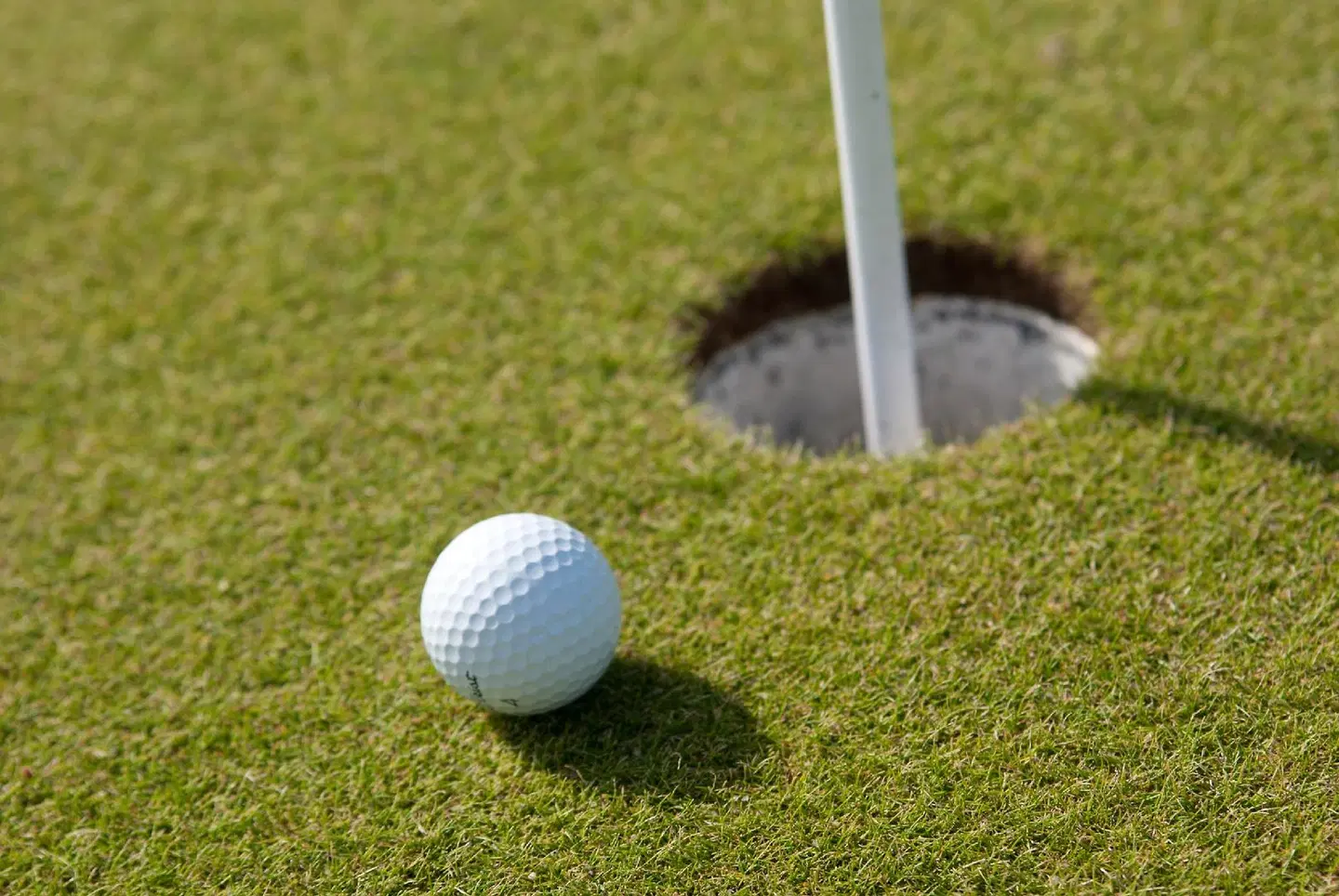 Erfblick-apartments Garten