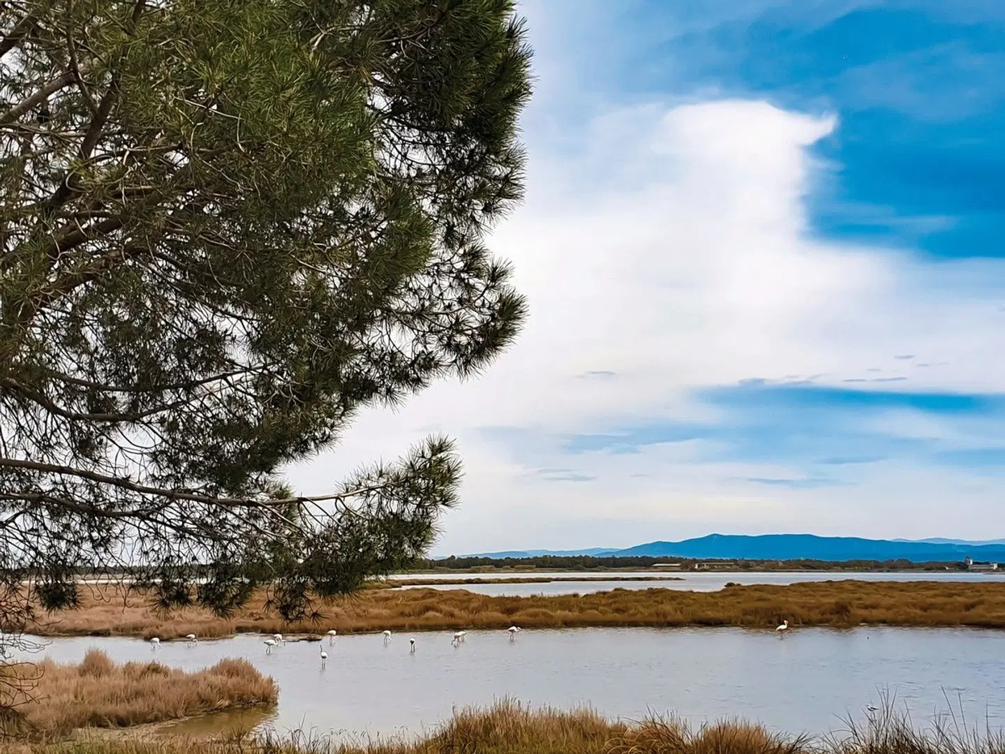 Camping S'Ena Arrubia (by Happy Camp) LANDSCAPE