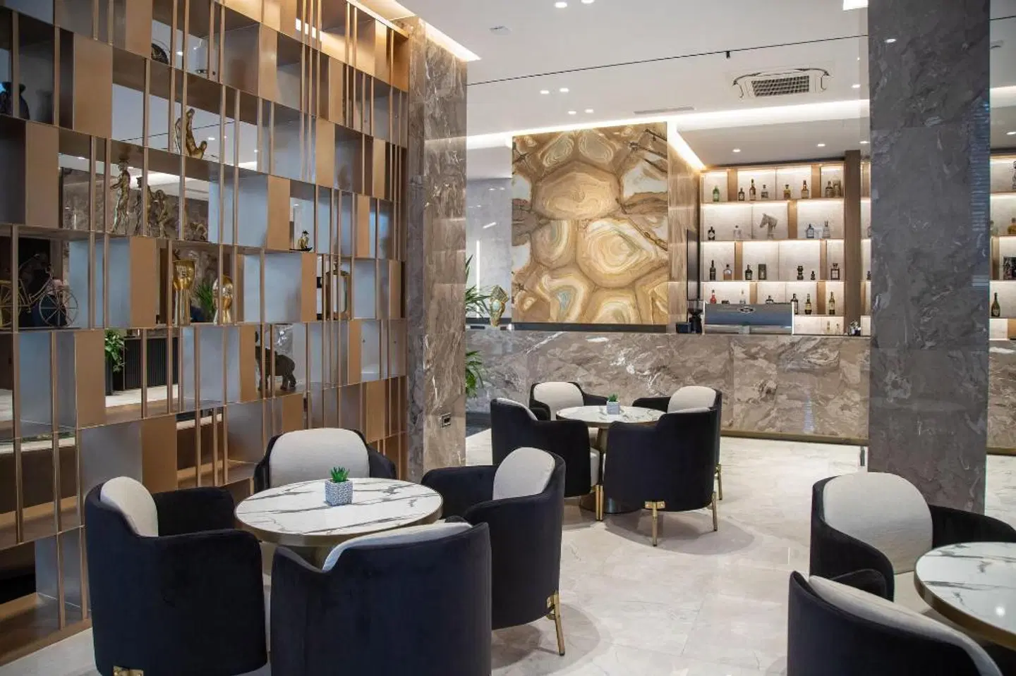 Hotel Elisa Tirana, Affiliated by Meliá LOUNGE_LOBBY