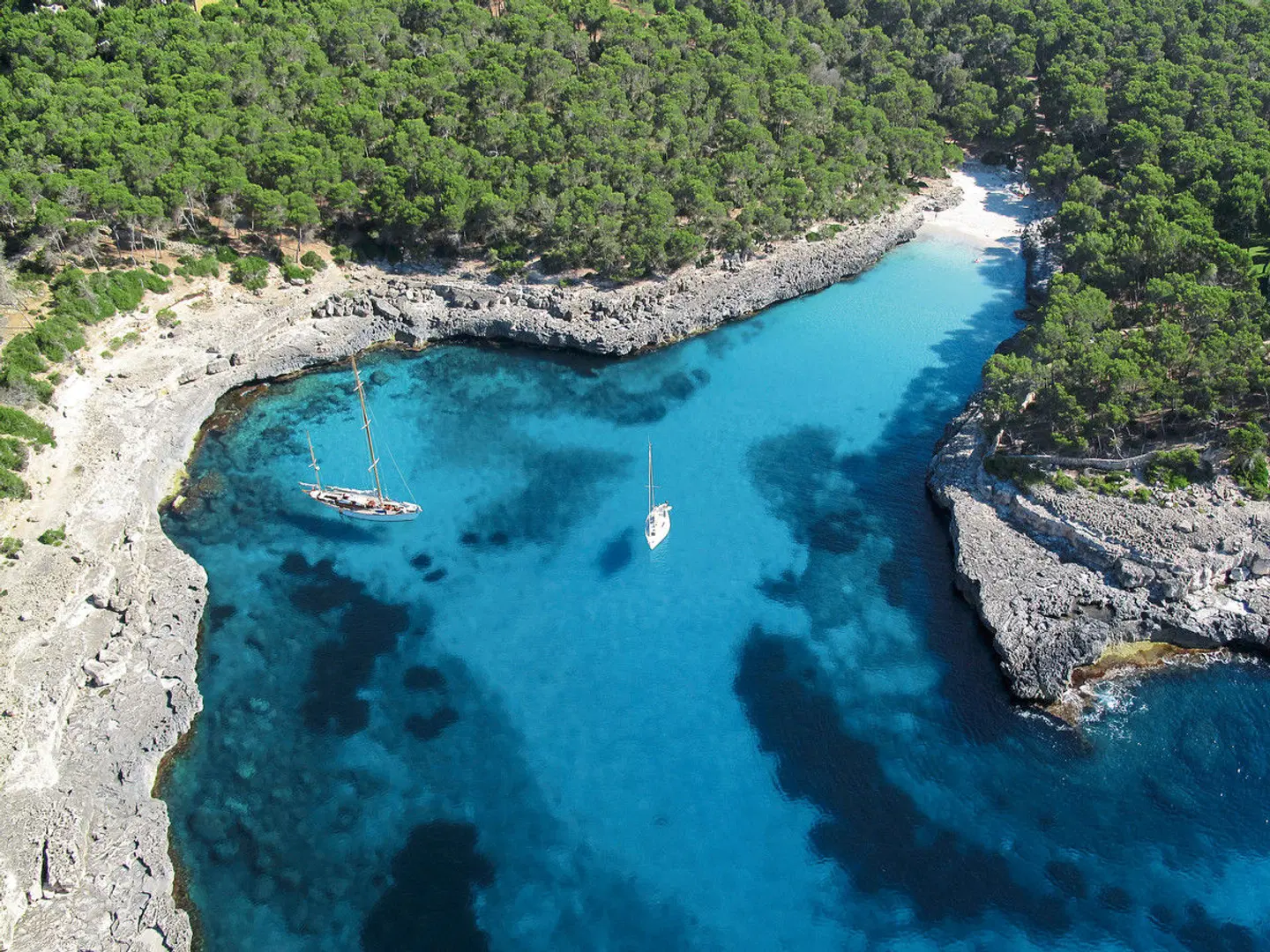 Inturotel Esmeralda Garden LANDSCAPE