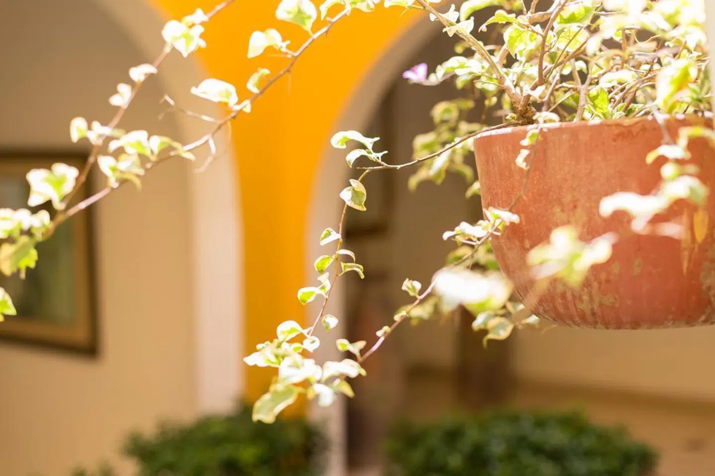 San Martin Cartagena Landkarte