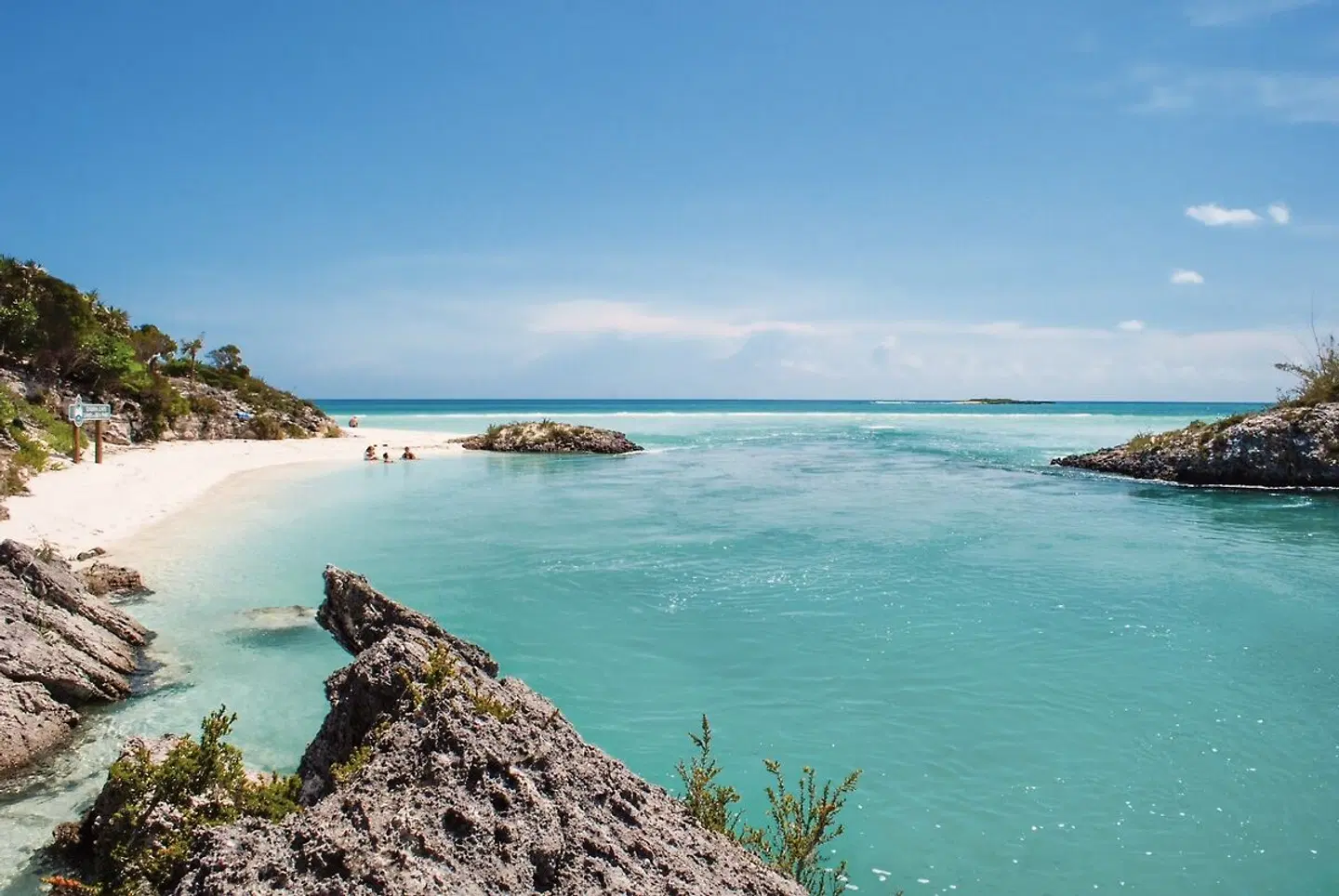 Tierisches Badevergnügen LANDSCAPE