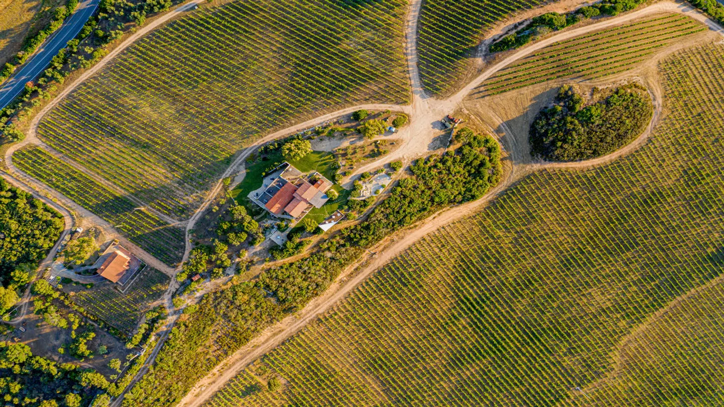 Tenuta Petra Bianca LANDSCAPE
