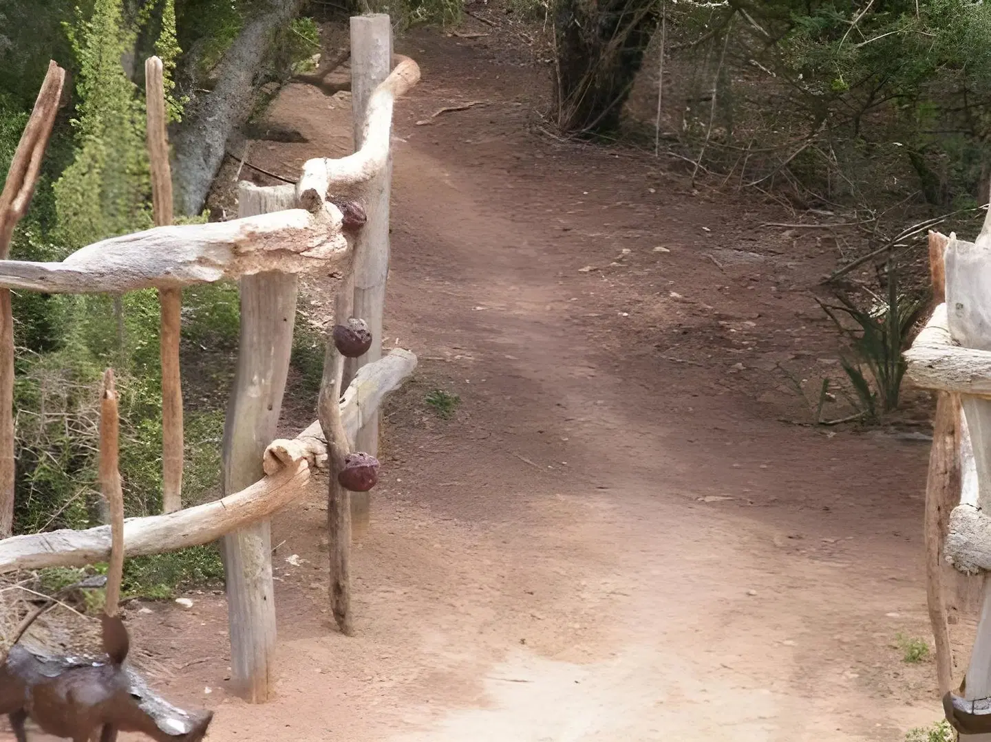 Addo Dung Beetle Guest Farm Tiere