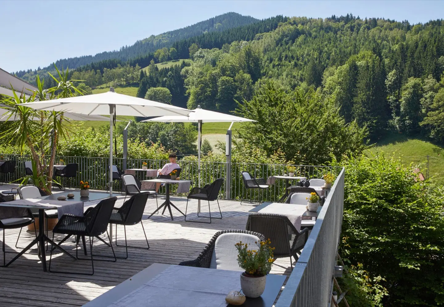 ElzLand Hotel Pfauen Terrasse