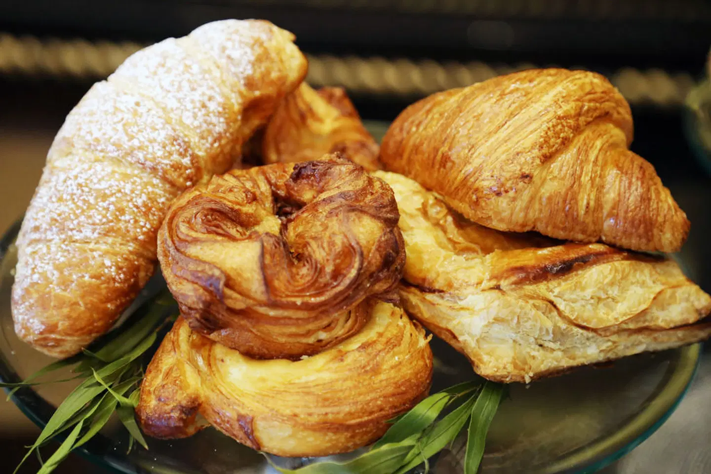 Cavalier South Beach Hotel Tiere