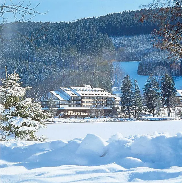Maritim TitiseeHotel Titisee-Neustadt EXTERIOR