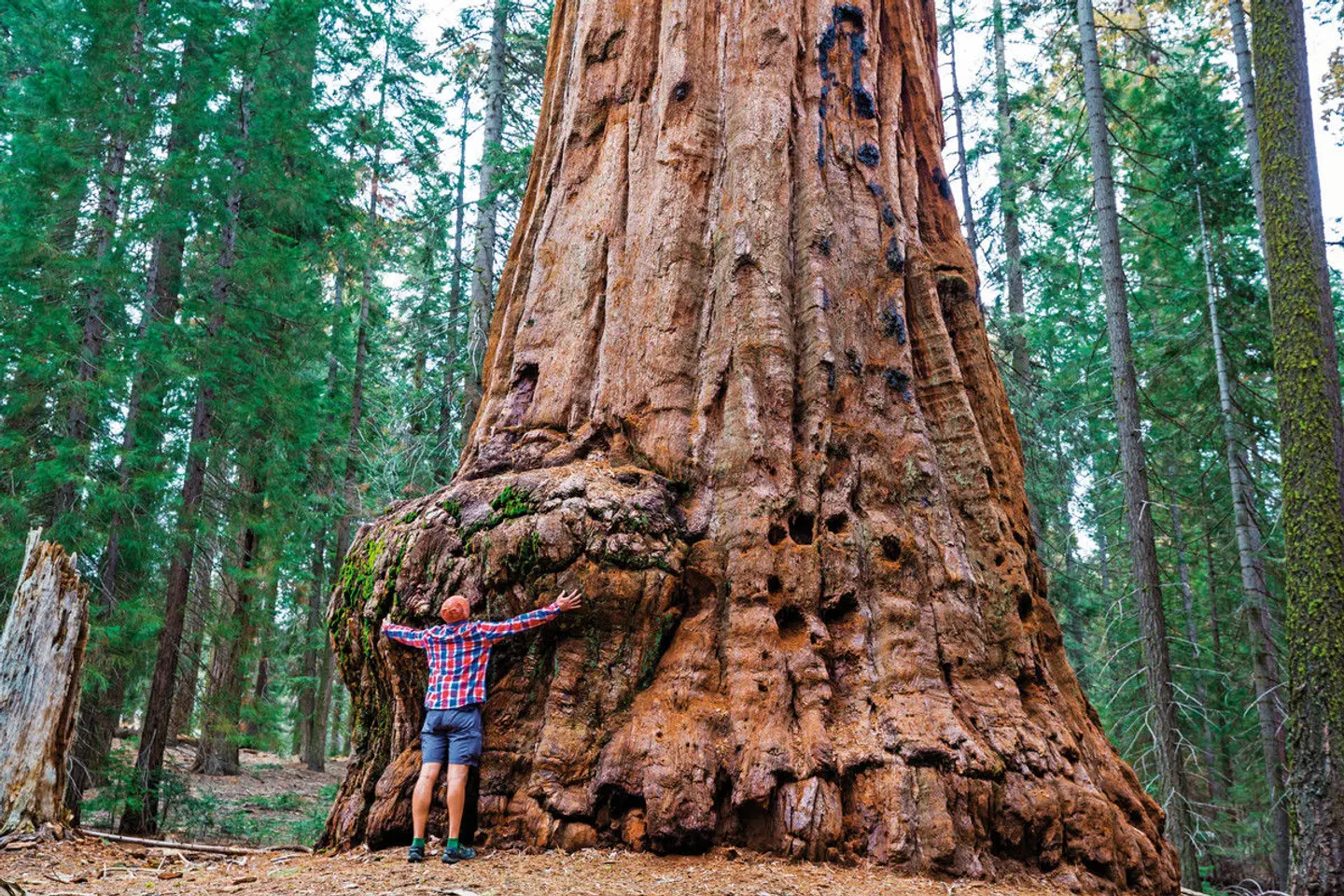 Kleingruppenreise Kalifornien entdecken LANDSCAPE