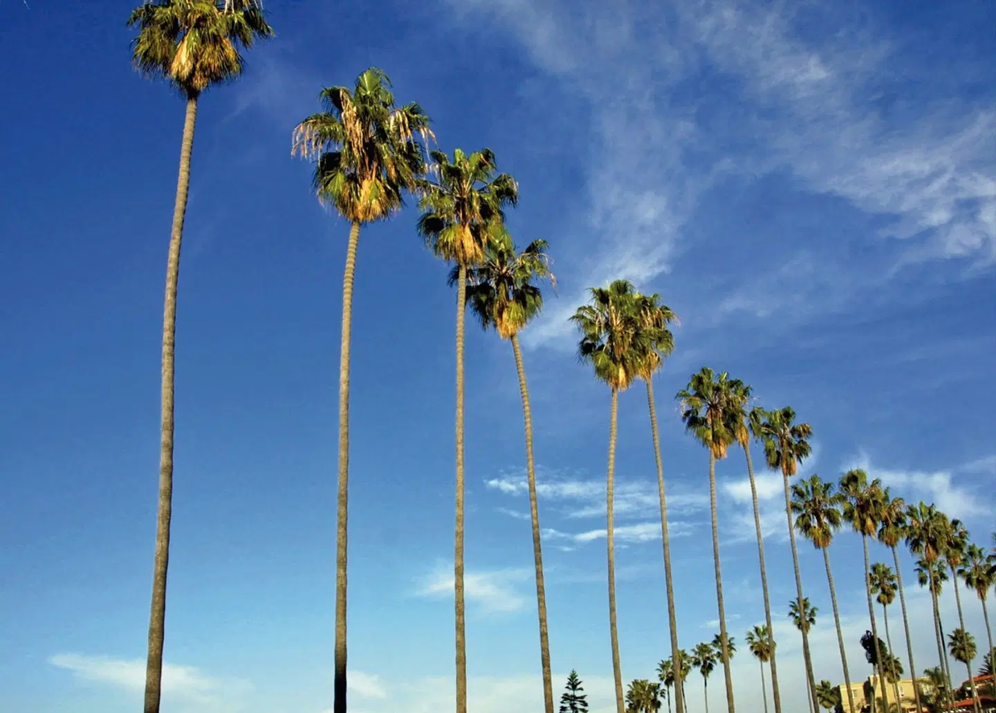 Westküste hautnah LANDSCAPE