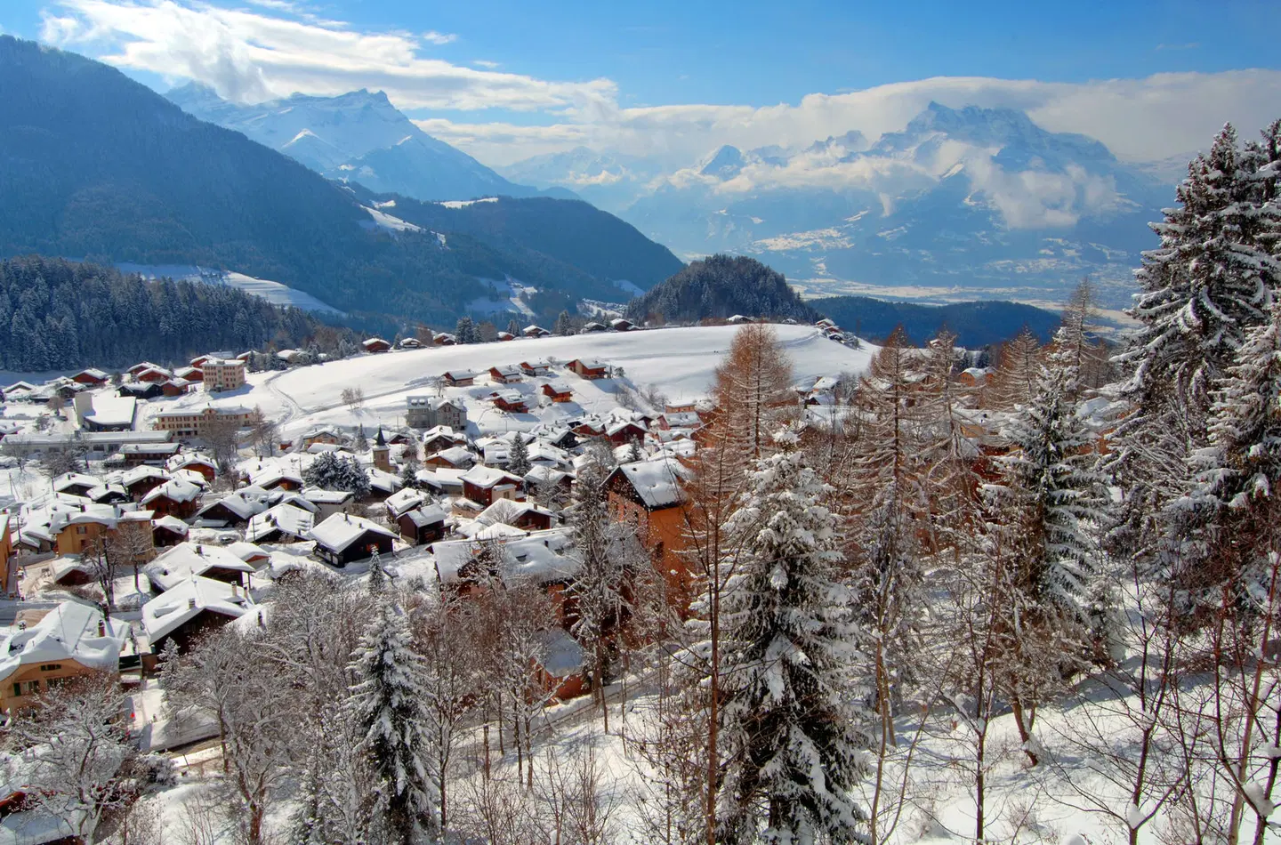 Alpine Classic Hotel LANDSCAPE