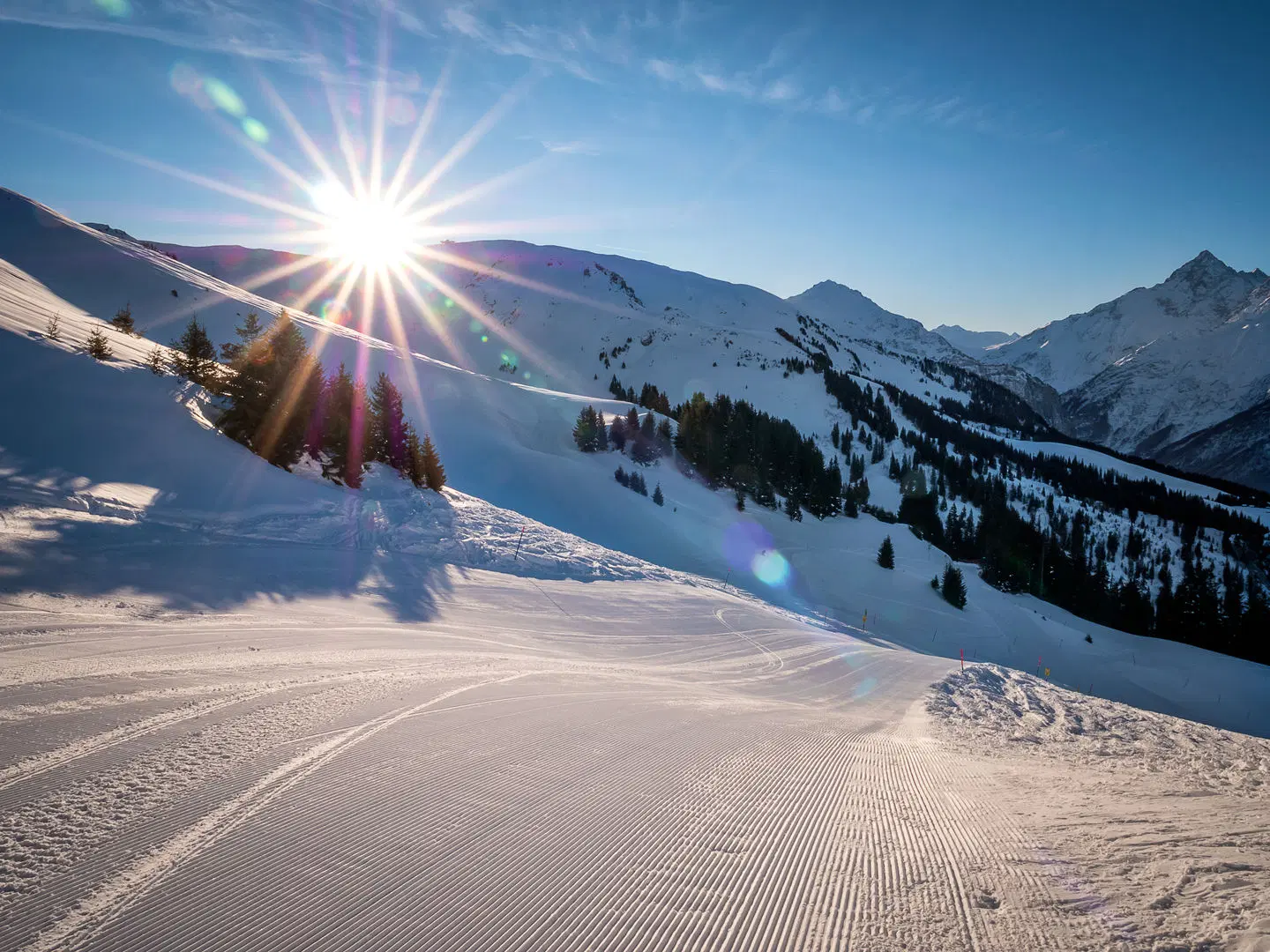 Du Sauvage LANDSCAPE