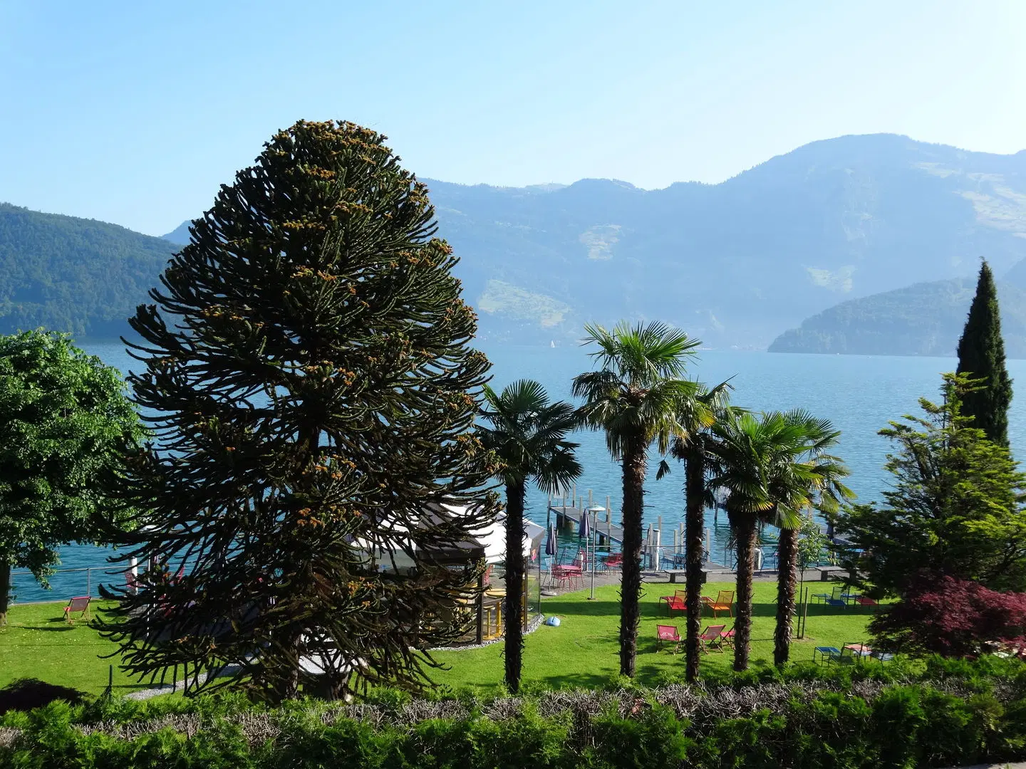 Hotel Seerausch Garten