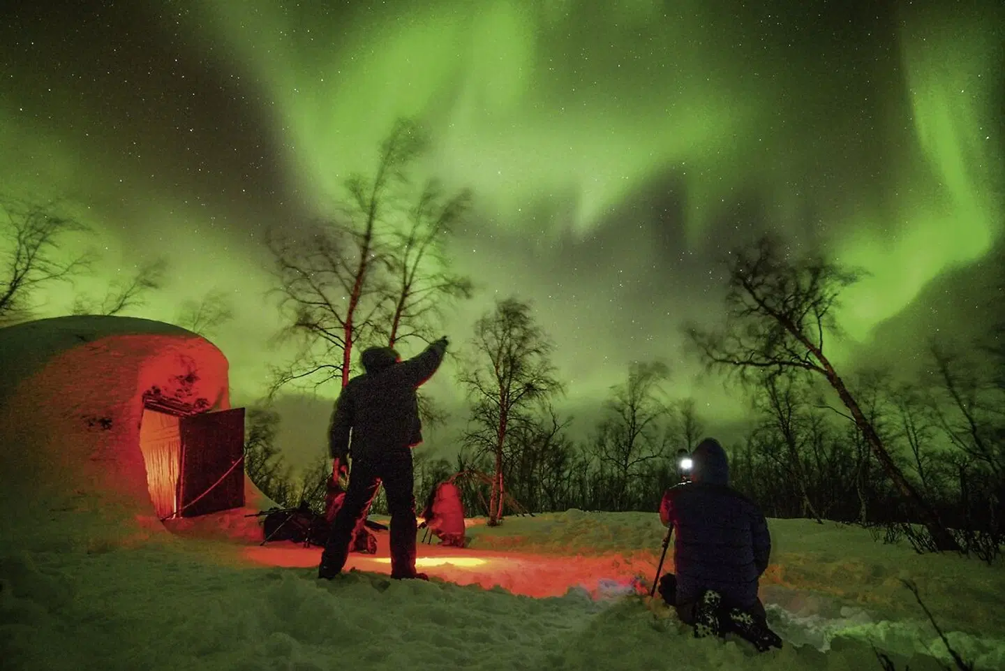 Abisko & ICEHOTEL - Das pure Nordlichtabenteuer SPORTS_AND_LEISURE