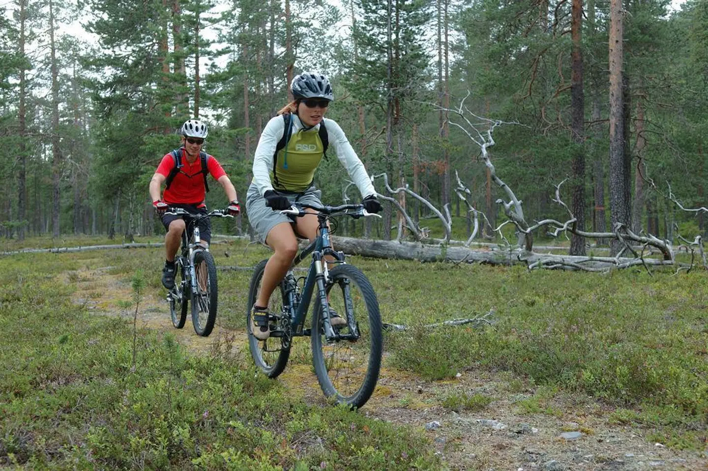 Lapland Hotel Luostotunturi & Amethyst Spa SPORTS_AND_LEISURE