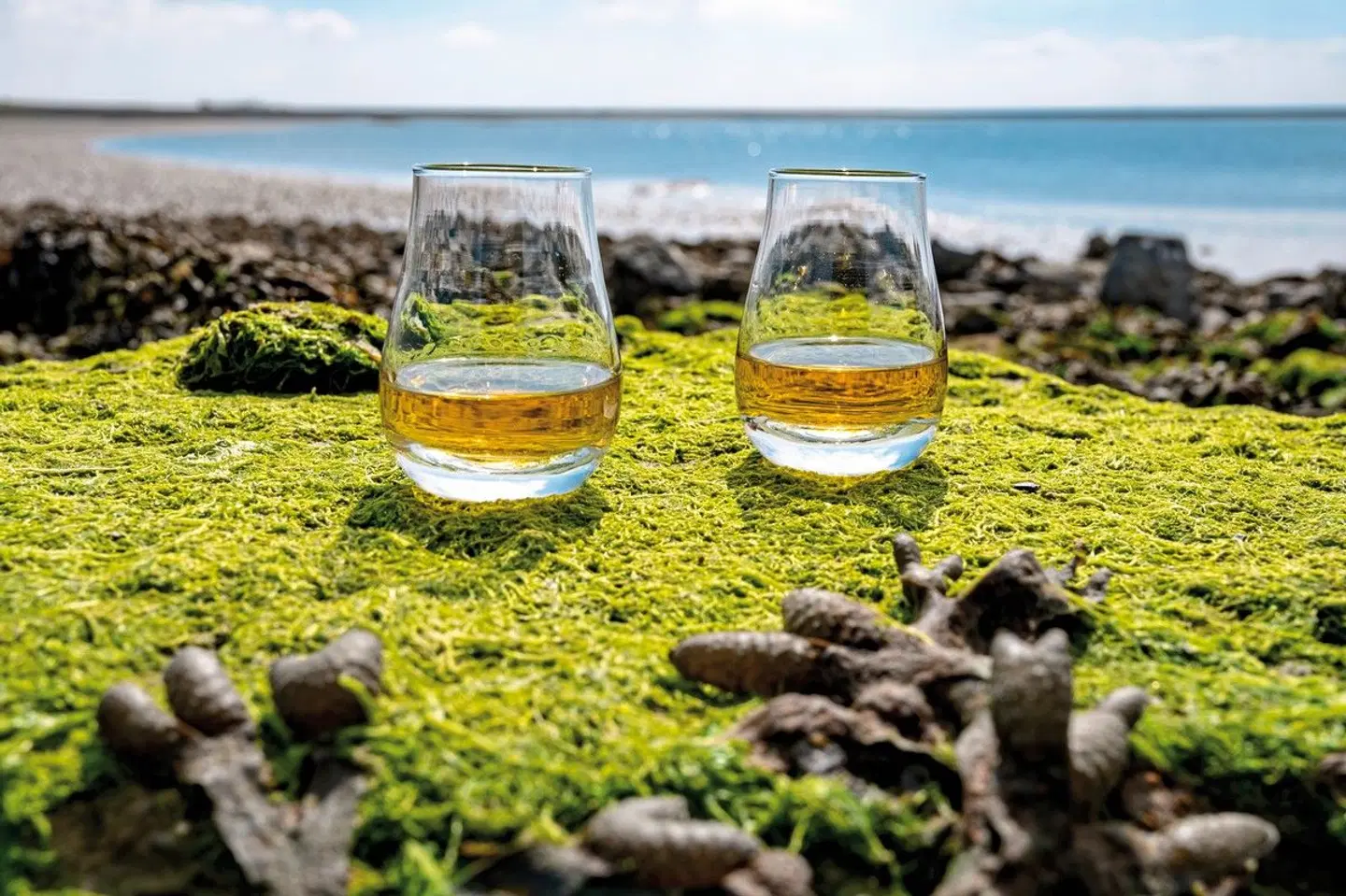 Whiskytour - Isle of Islay und die Küste Garten