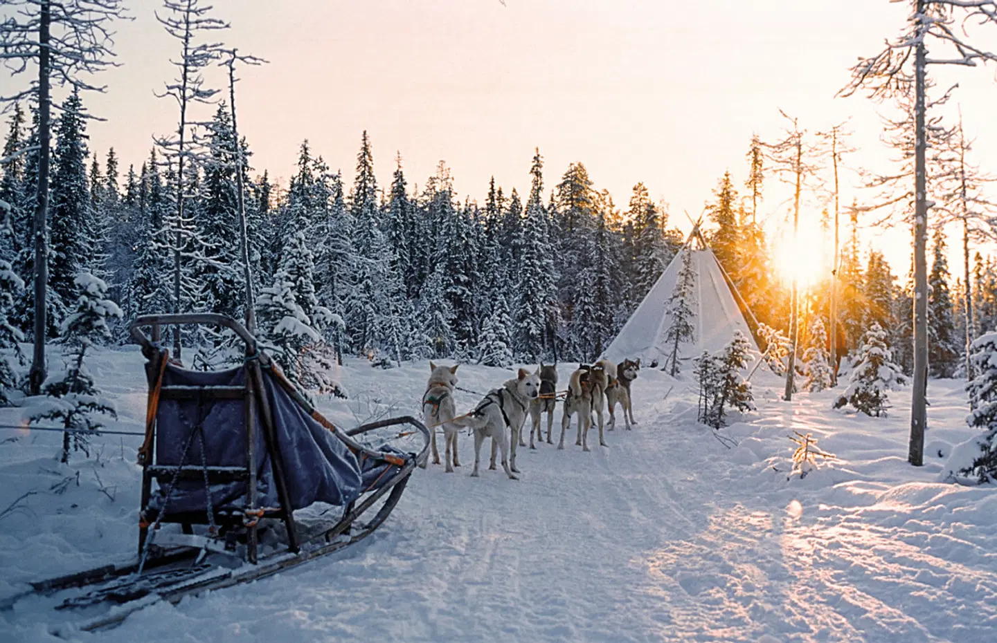 Lappland Intensiv LANDSCAPE