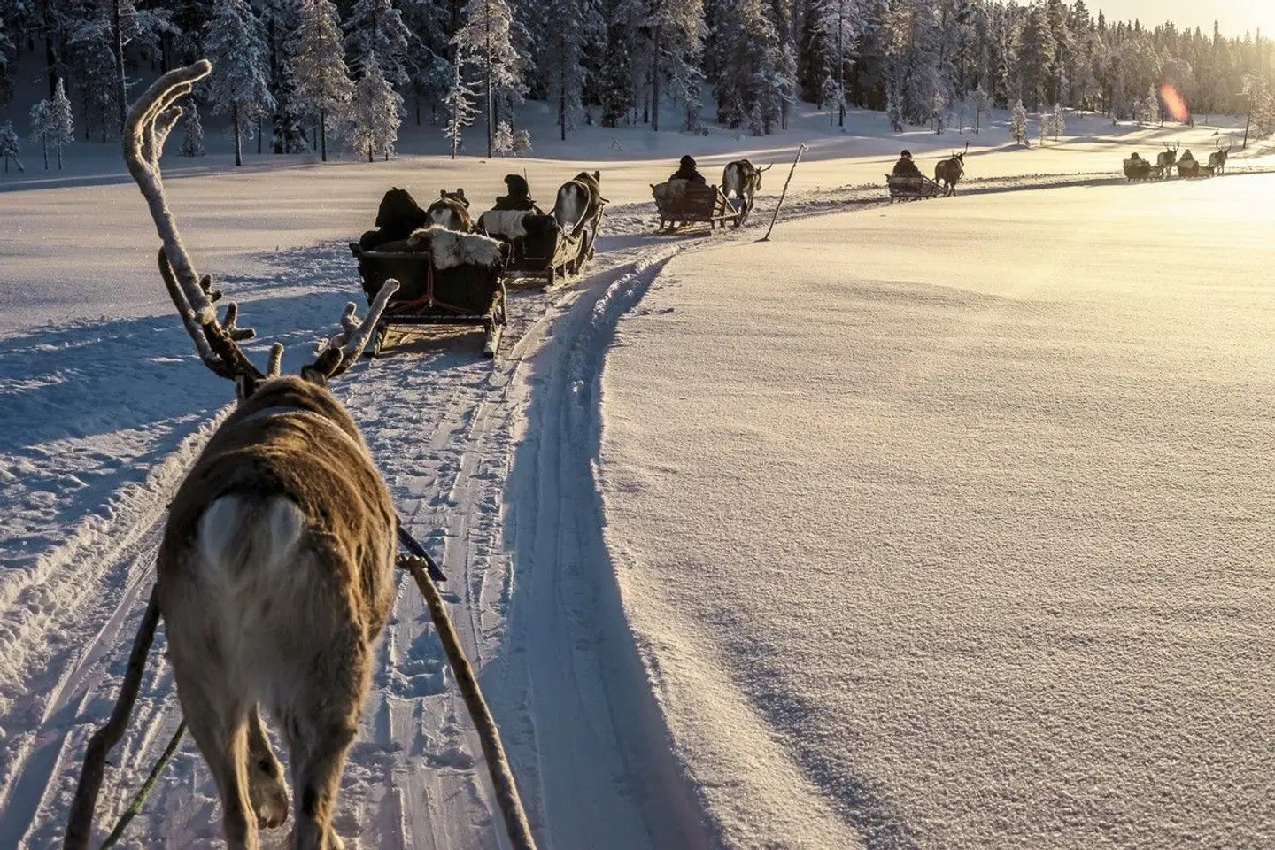 Lappland kompakt Strand