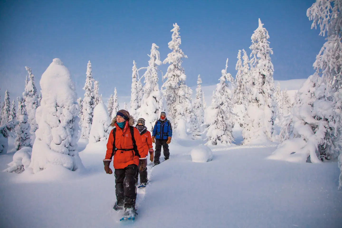 Lappland kompakt SPORTS_AND_LEISURE