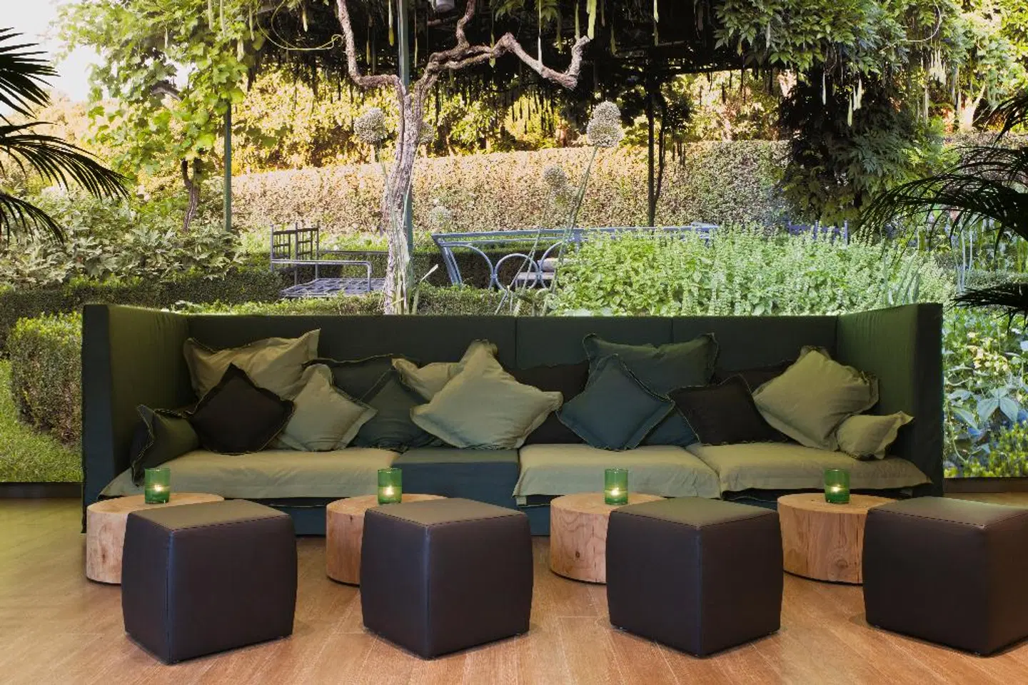 Starhotels Echo Terrasse