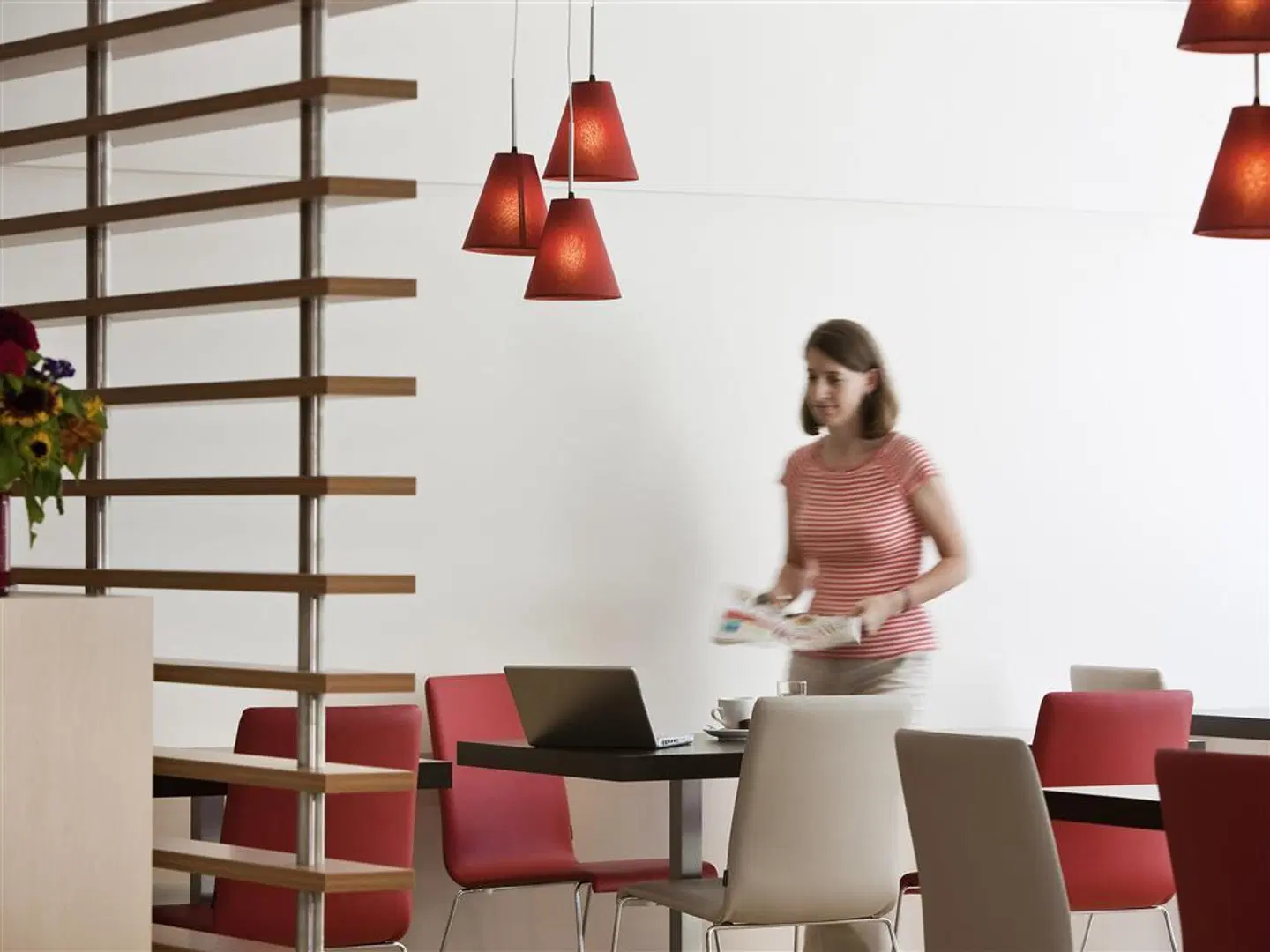 ibis Lausanne Centre Konferenz