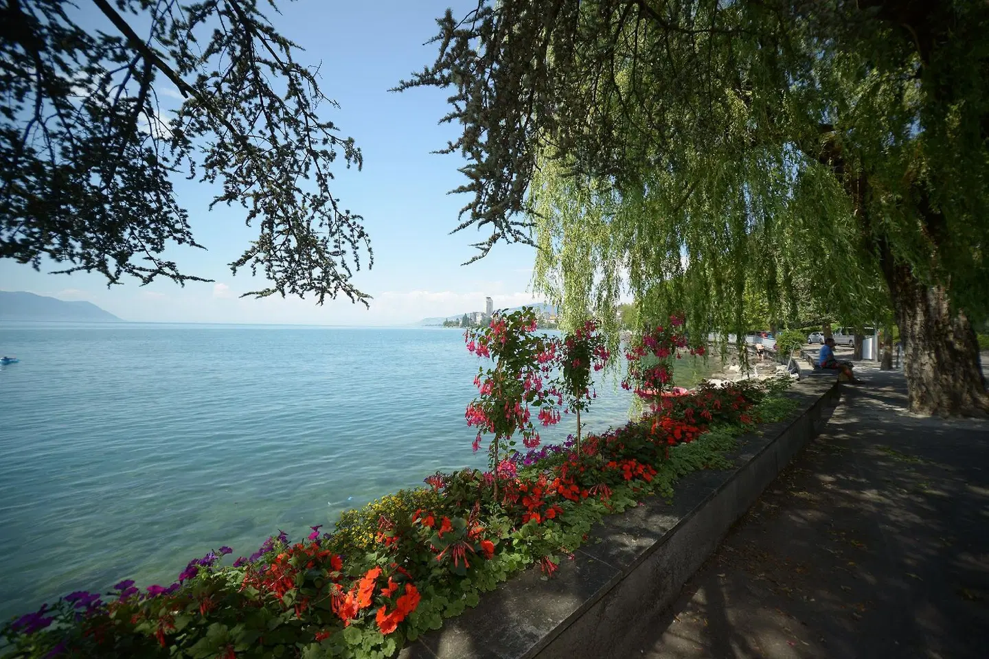 Montreux Youth Hostel LANDSCAPE
