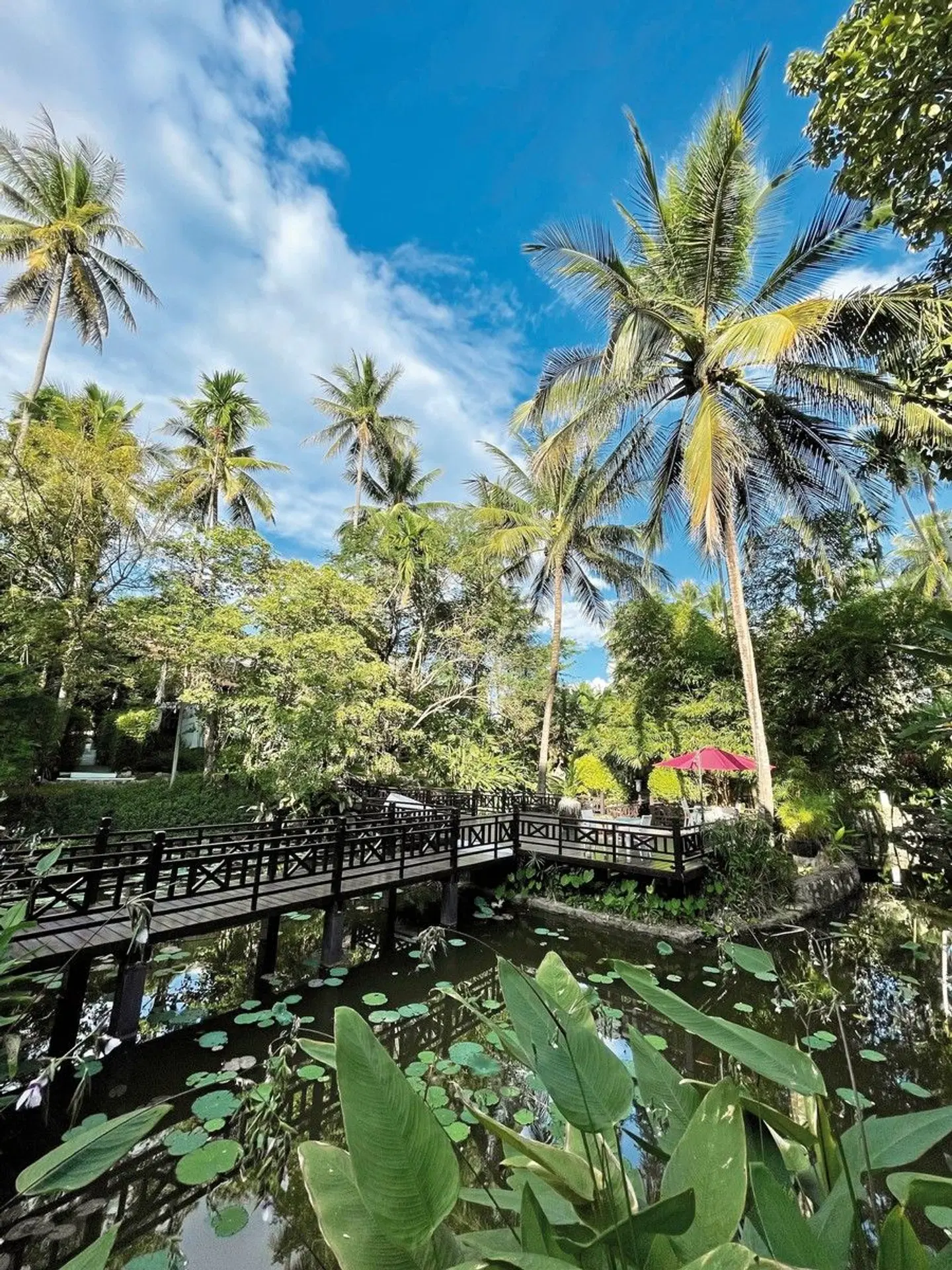 Parasol Blanc Garten