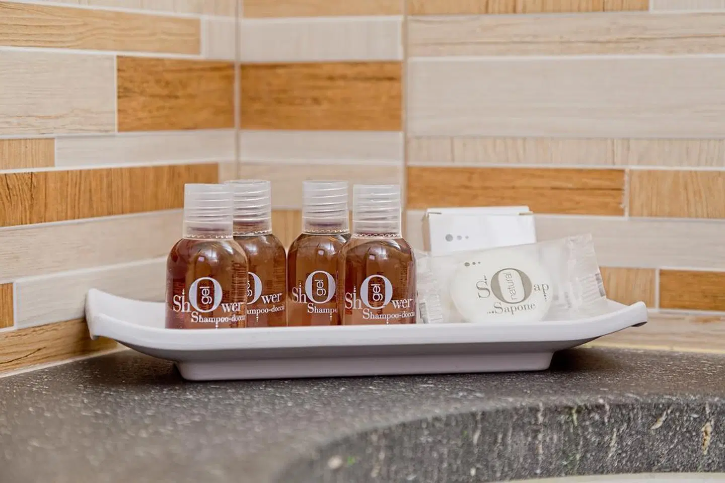 Hotel Airone LOUNGE_LOBBY