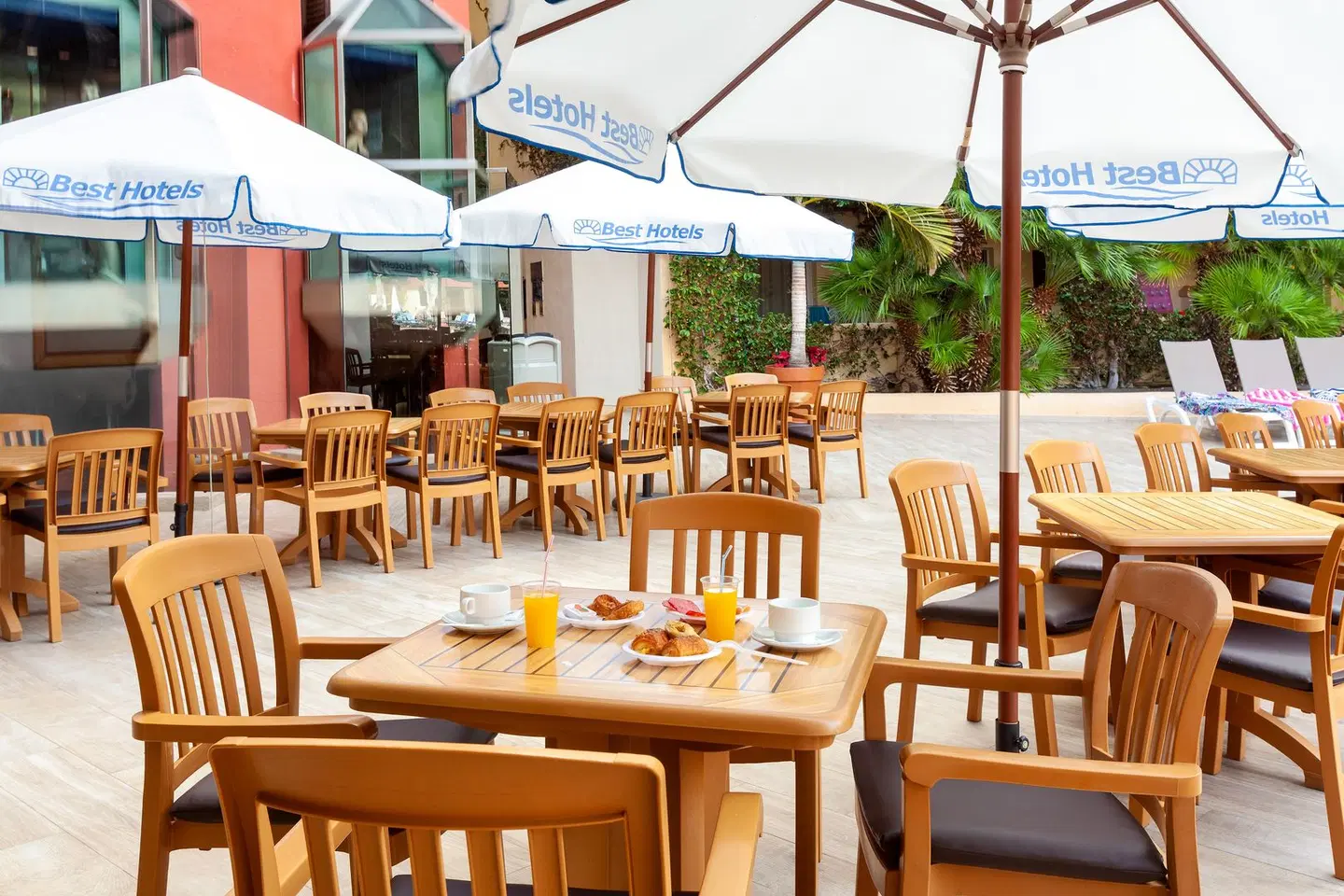 Best Jacaranda Terrasse