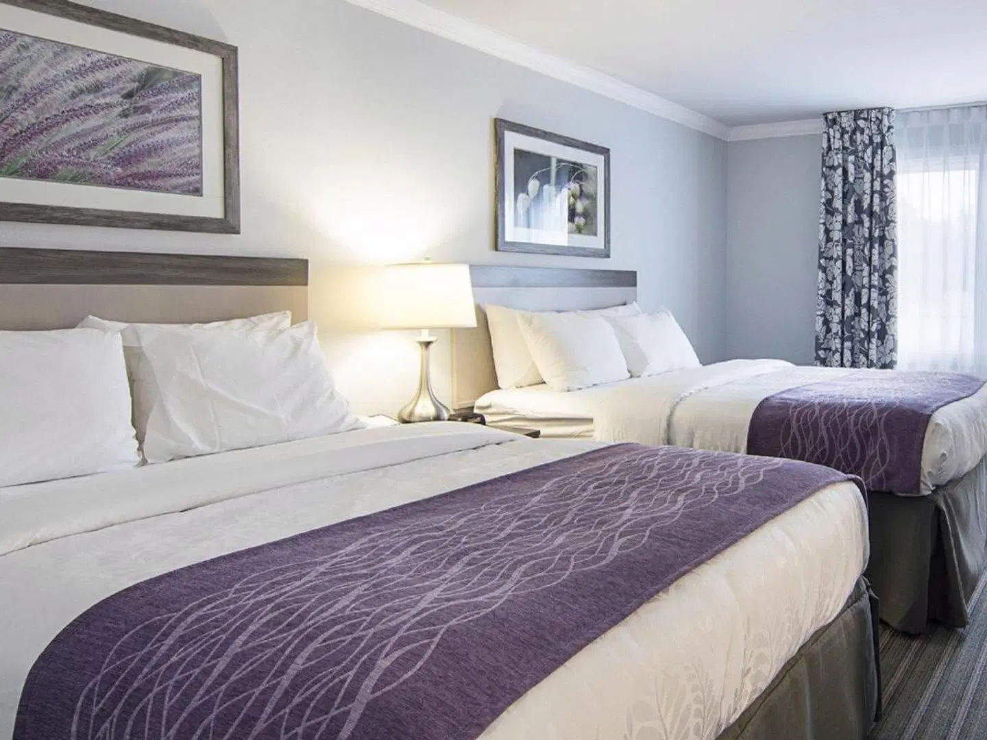 Days Inn Williamsburg Historic Area ROOM_EXAMPLE