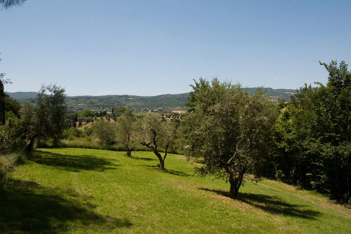 Villa il Patriarca LANDSCAPE
