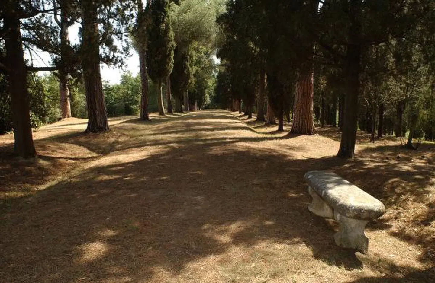 Villa il Patriarca LANDSCAPE