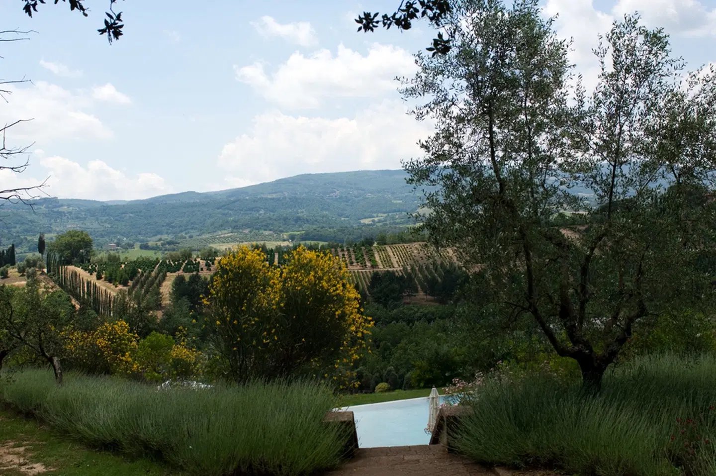 Villa il Patriarca LANDSCAPE