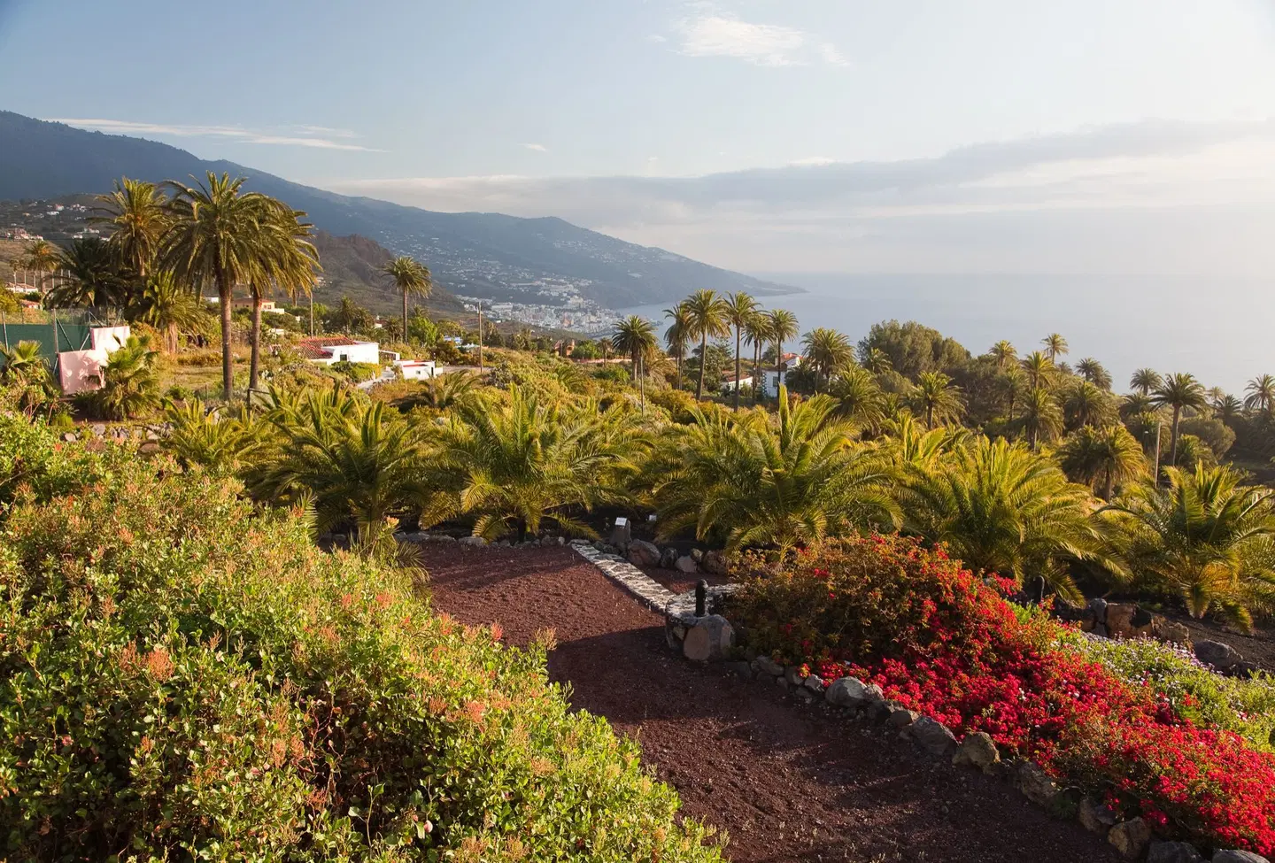 Parador de La Palma LANDSCAPE