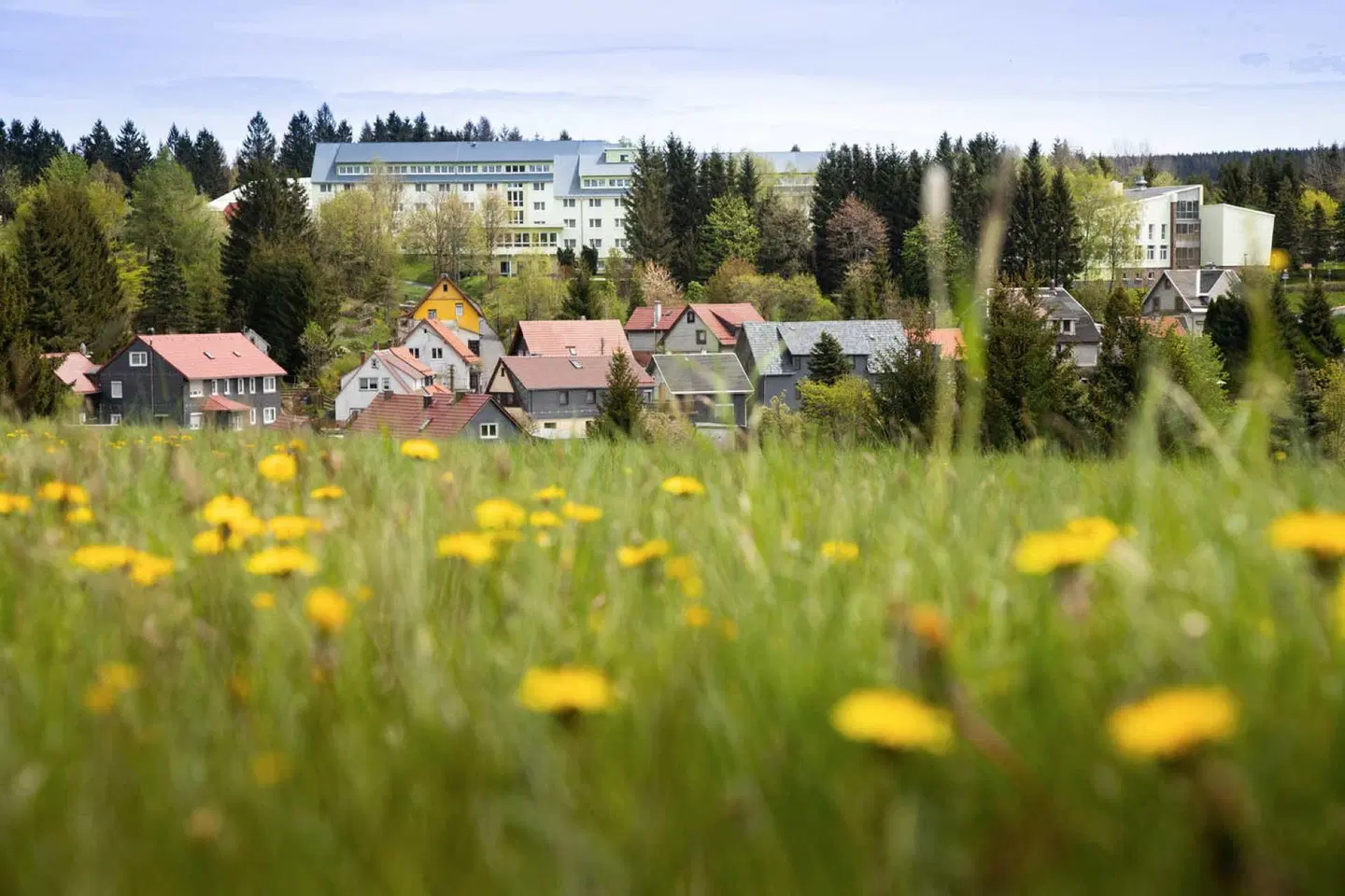 Werrapark Resort Hotel Heubacher Höhe LANDSCAPE