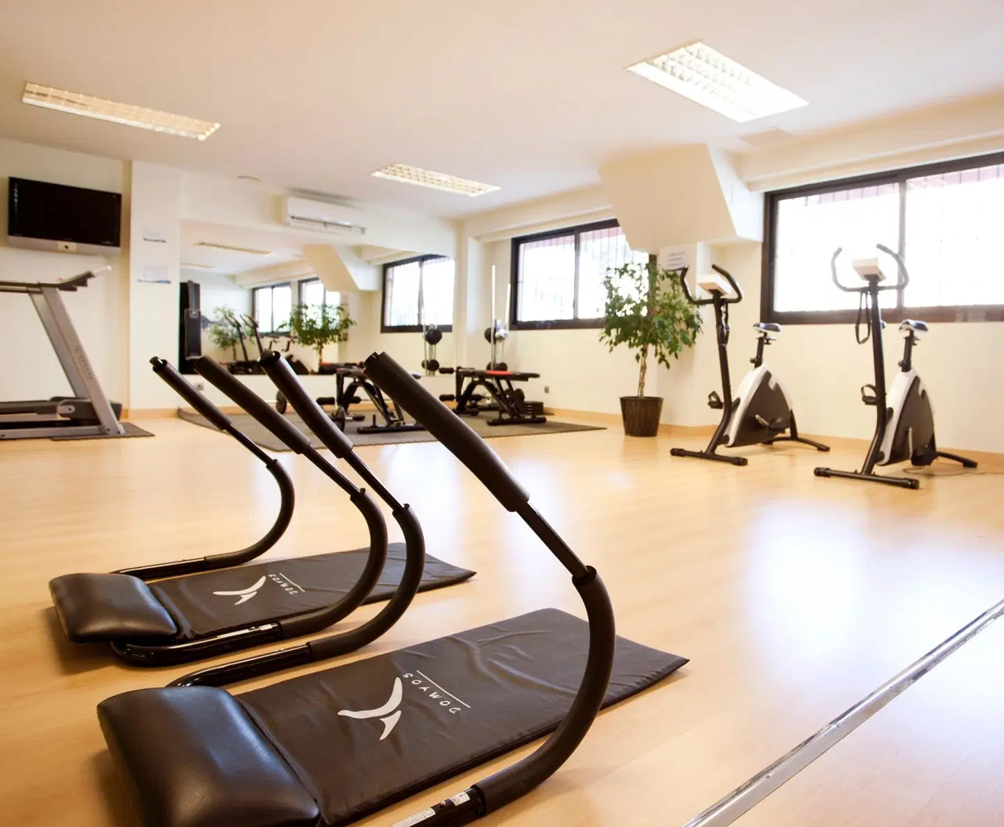 Pabisa Chico SPORTS_AND_LEISURE