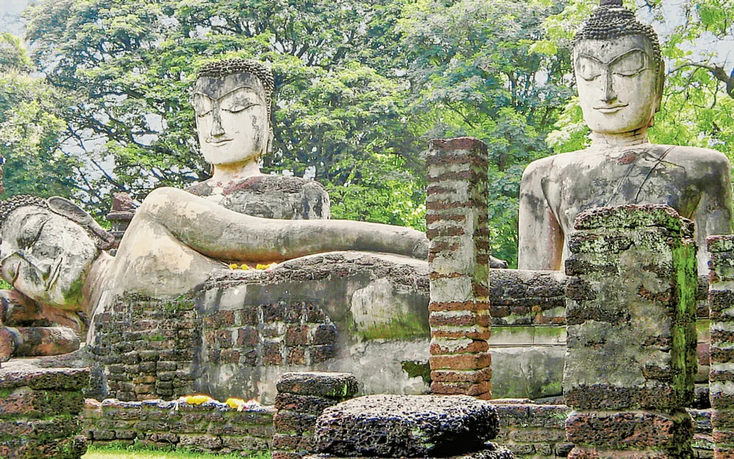 Sri Lanka Allround (Gruppenreise) Garten