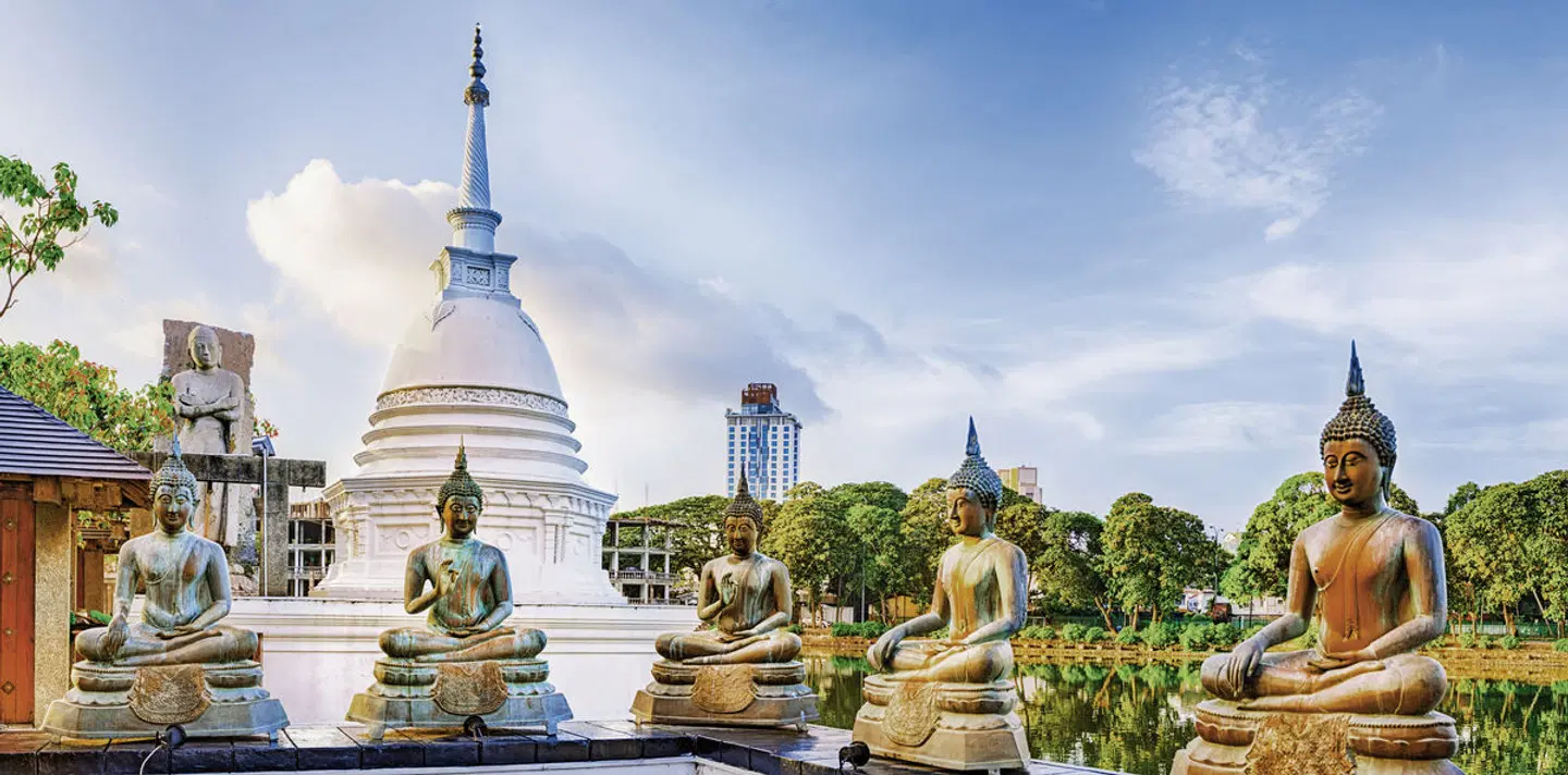 Sri Lanka Allround (Gruppenreise) Terrasse