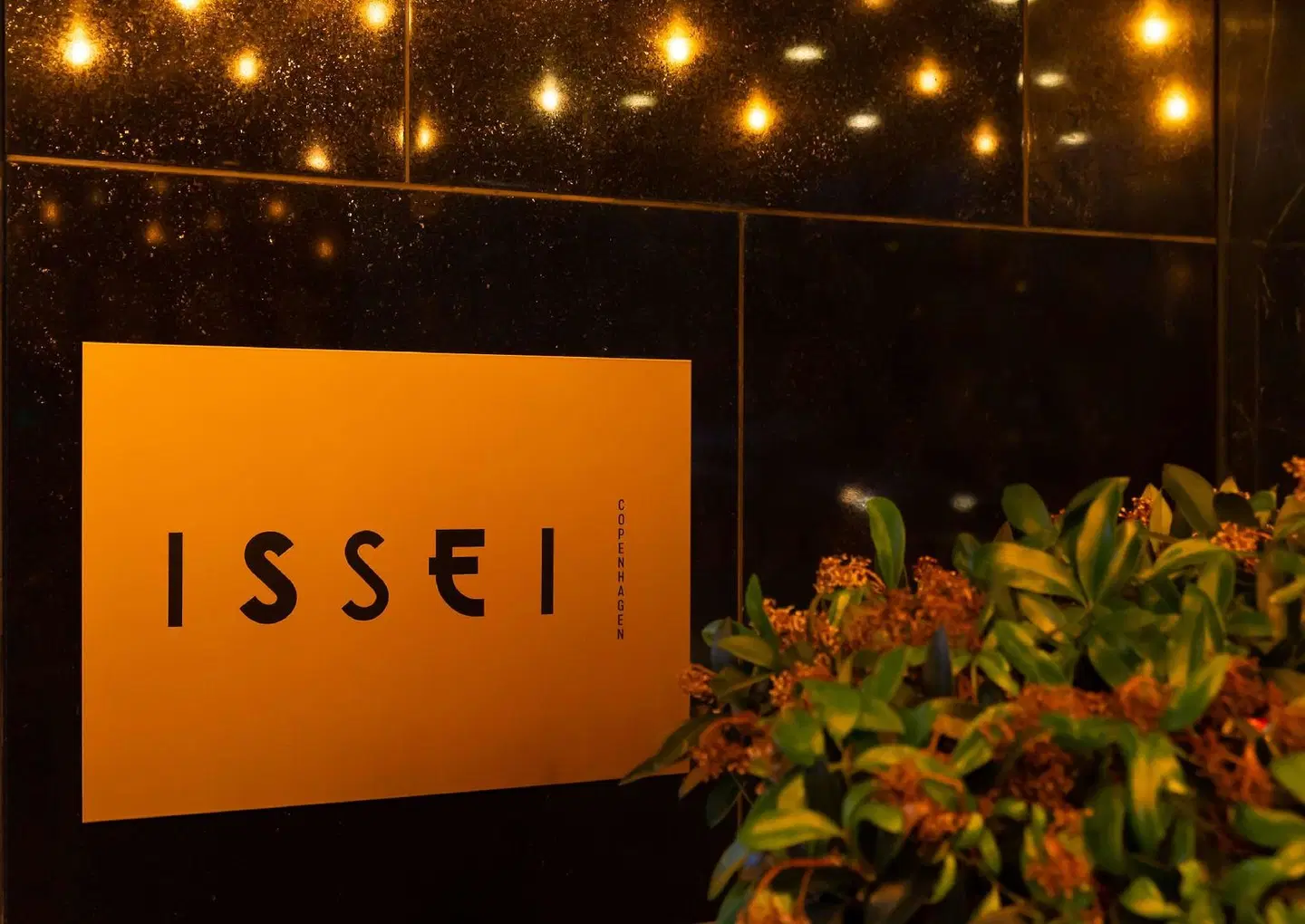 Radisson Collection Royal Hotel, Copenhagen Konferenz