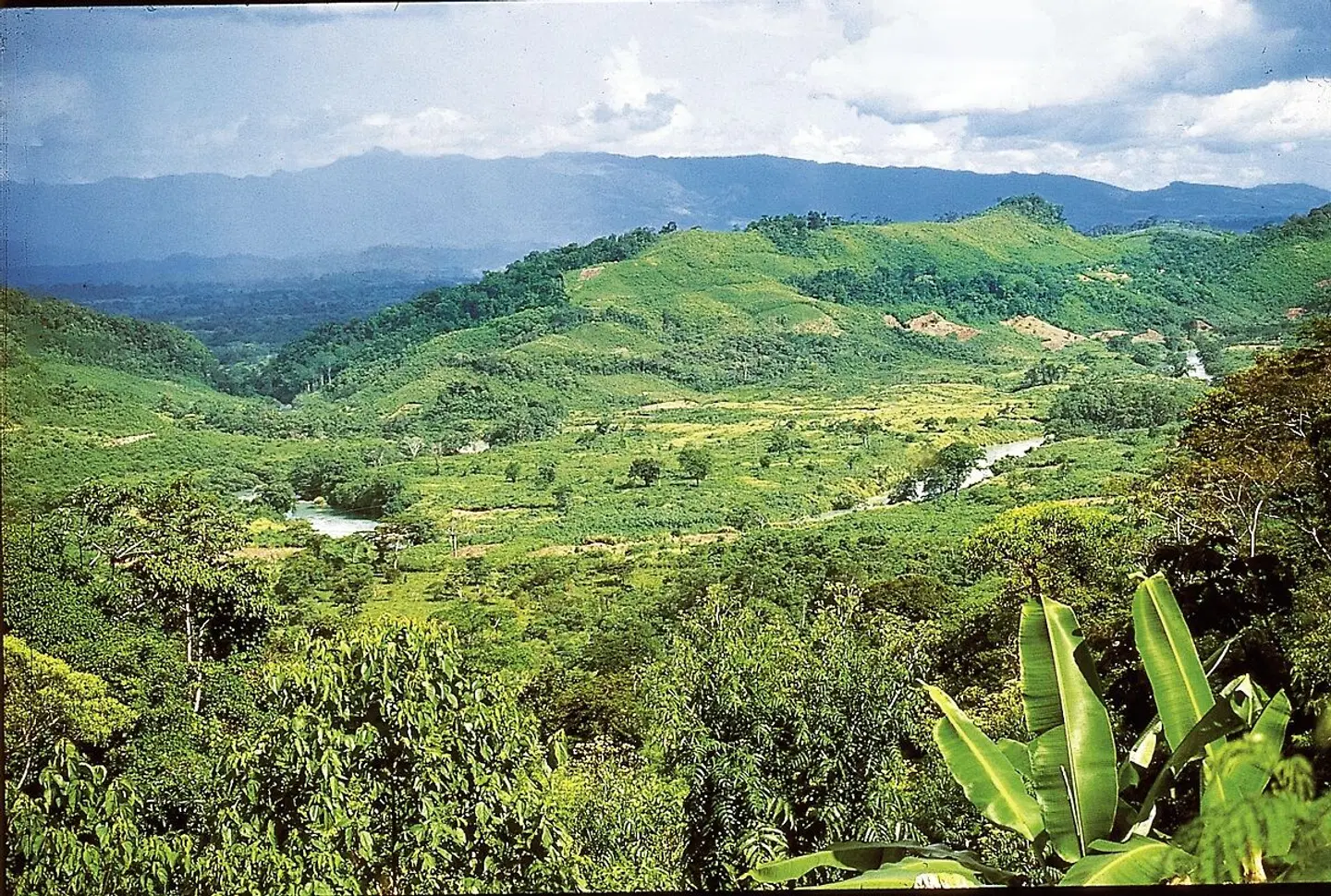 Yucatán Rundreise LANDSCAPE