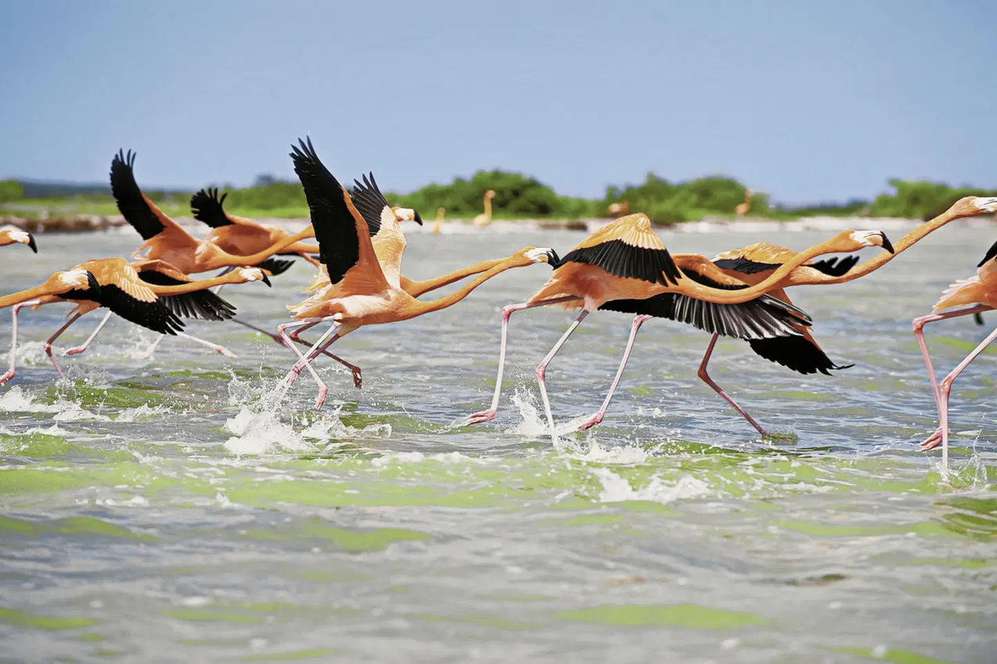 Der Herzschlag Mexikos - von Yucatan bis Oaxaca HEALTH_BEAUTY