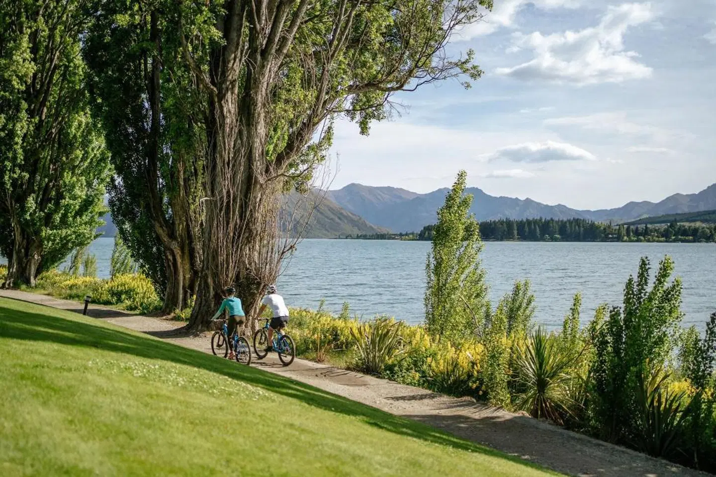 Edgewater Lake Wanaka Garten