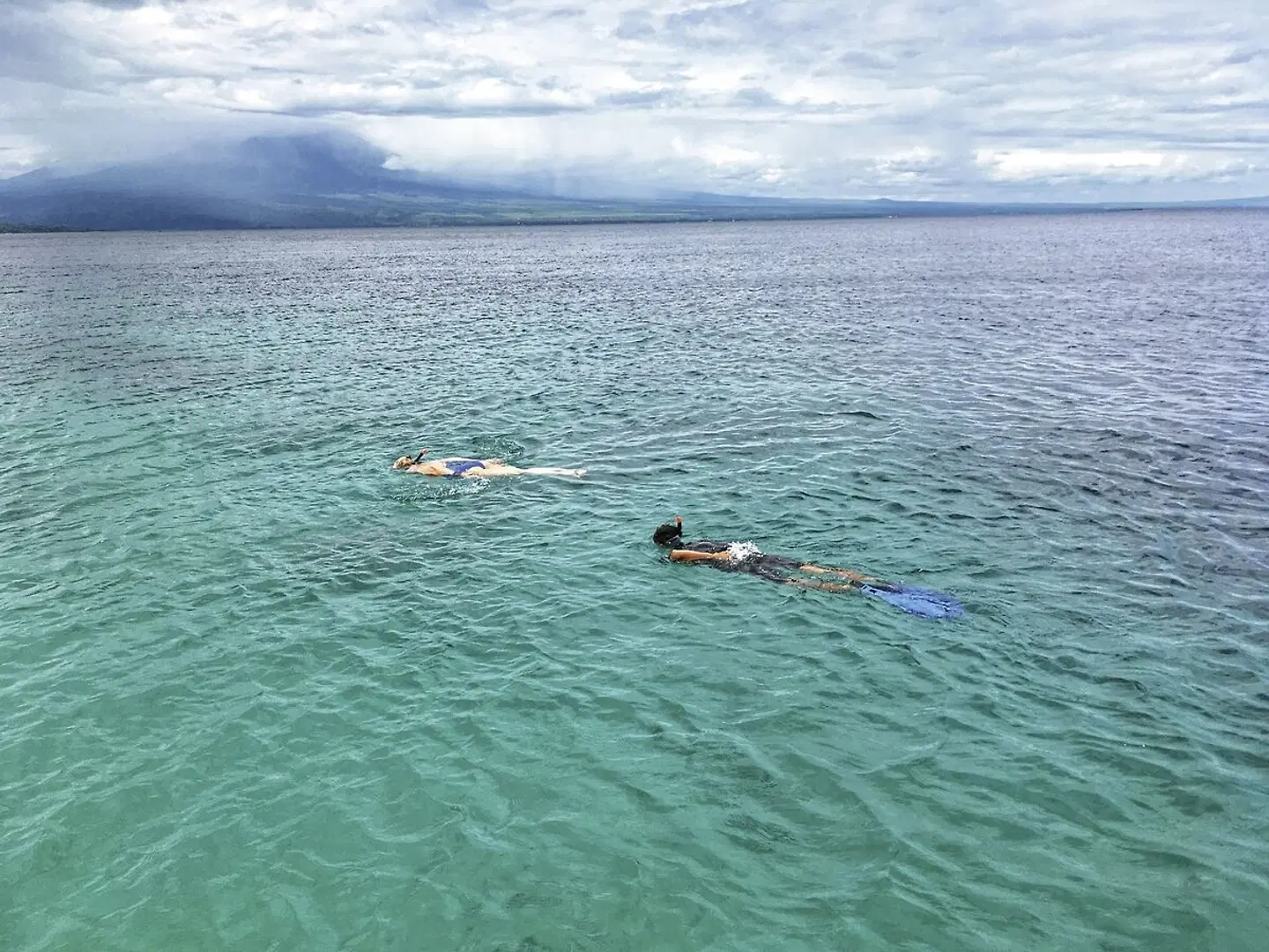 Bali mit Flair Tiere