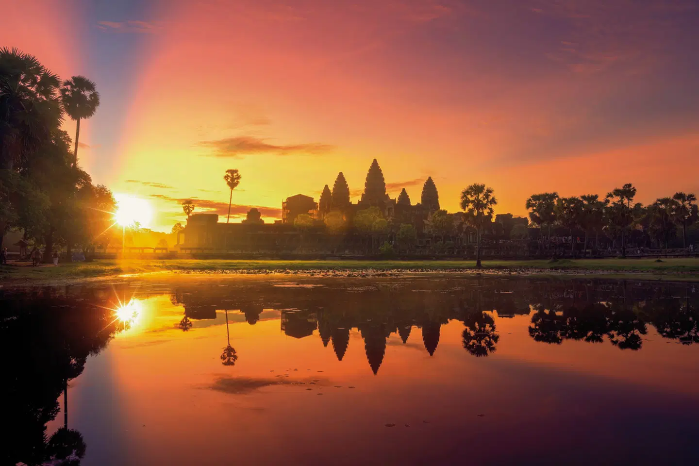 Kambodscha mit Flair Tiere