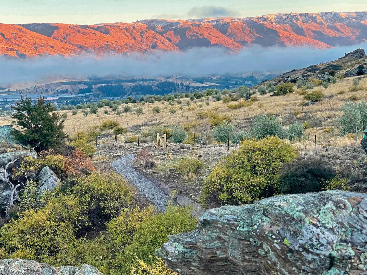 Taima PurePod LANDSCAPE