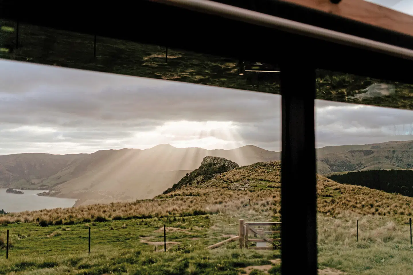 Pohue PurePod LANDSCAPE