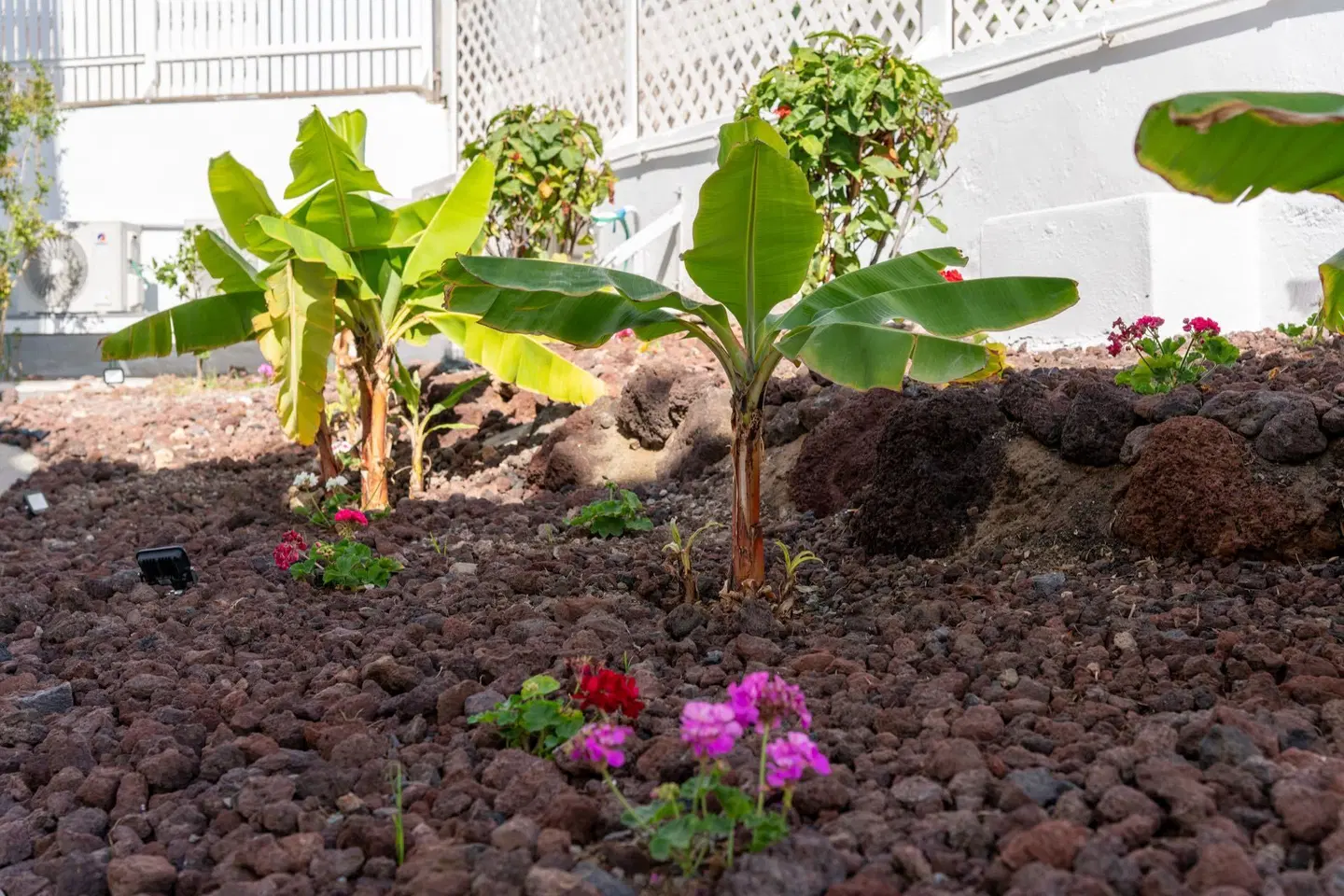 Appartements Los Caribes 2 Garten