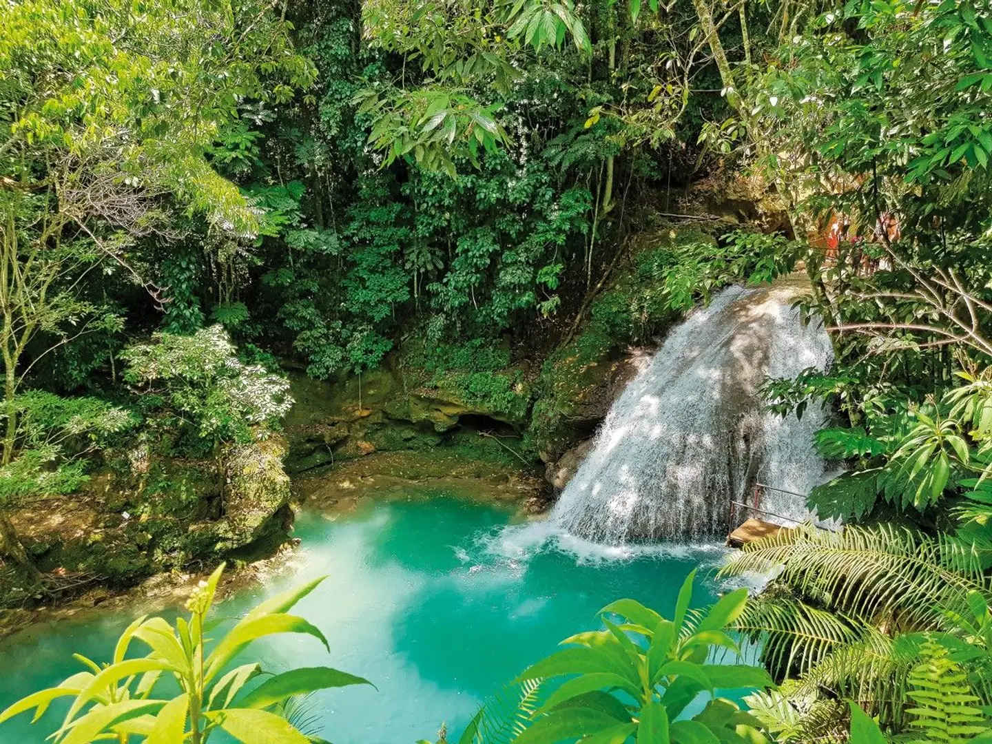 Reggae, Rum und Me(h)er LANDSCAPE